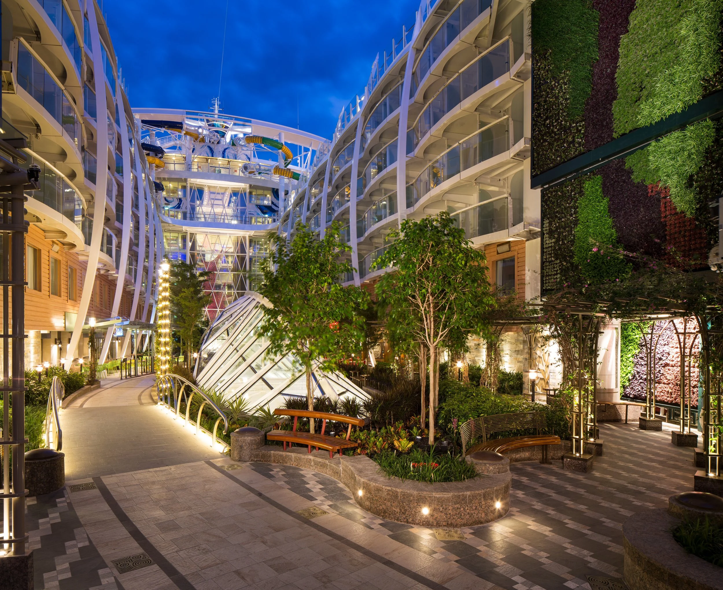 Symphony of the Seas tree lined Central Park at night