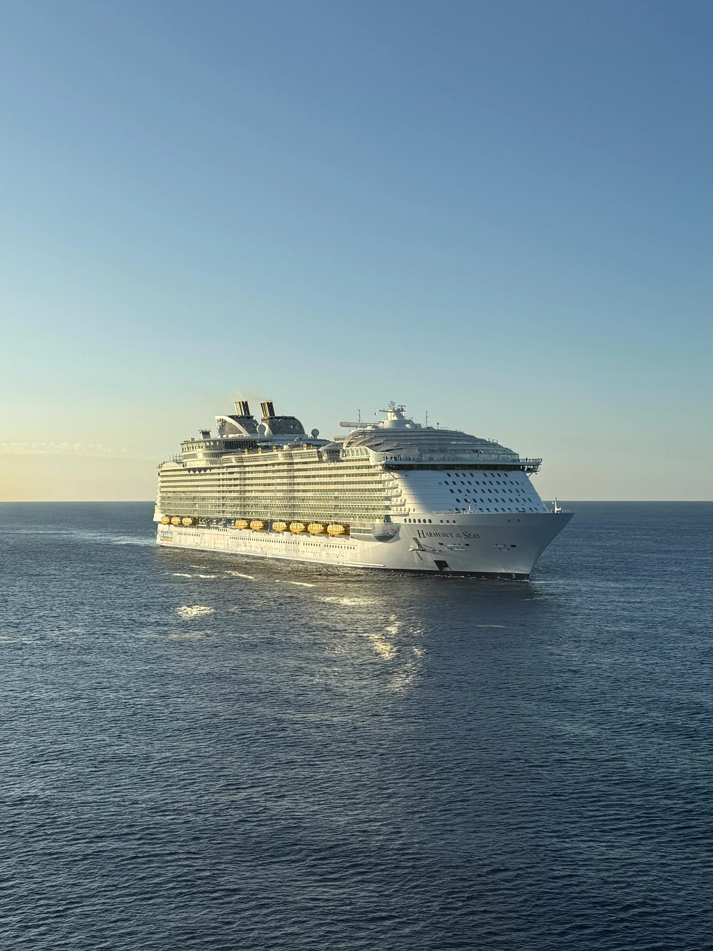 Cruise ship in the middle of the ocean
