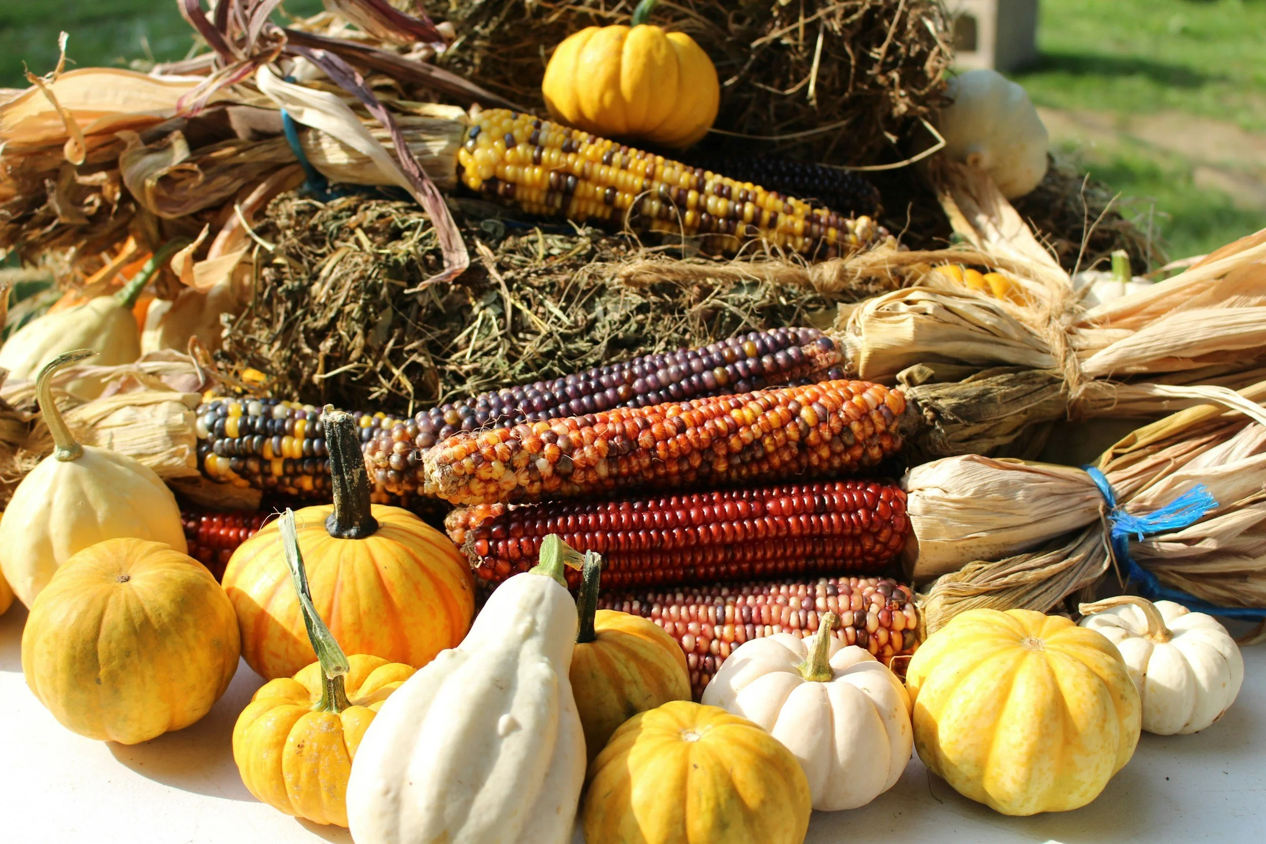 Getting Ready for Fall: While The Summer Heat Is Here! ☀️🍂