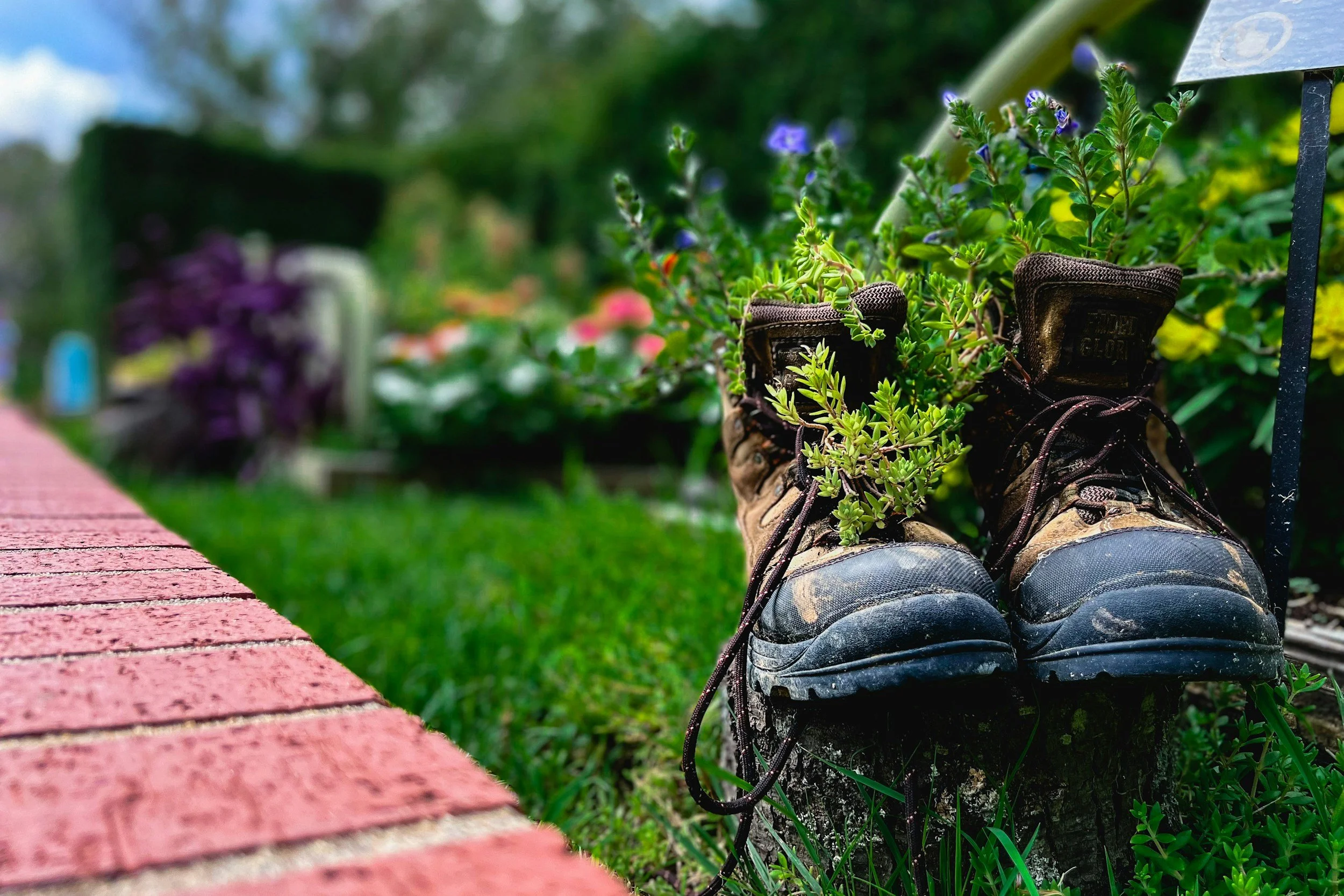 Boots on the Ground: Growing More Than Food at Bunny’s Love Farm 🥾🌱🚜