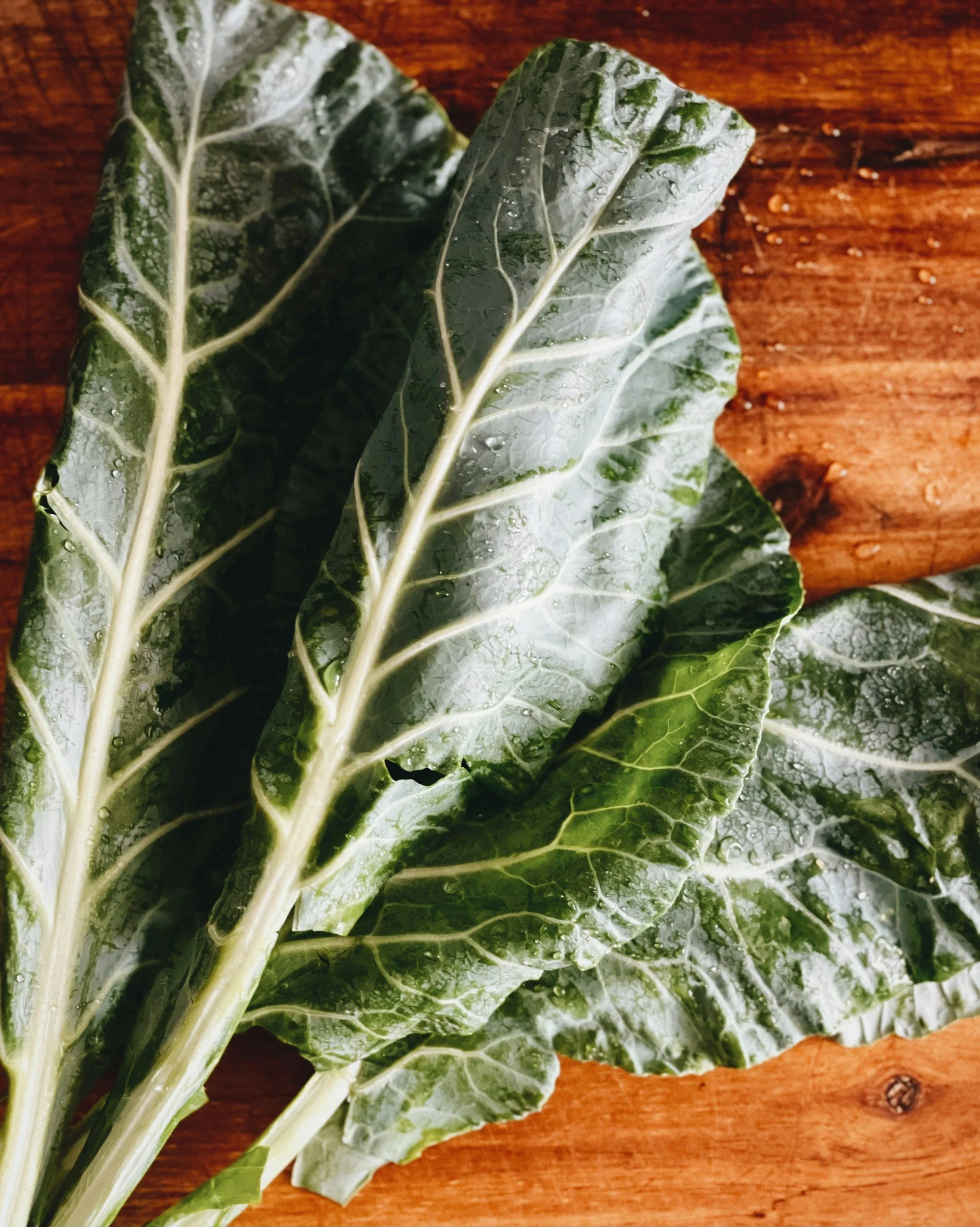 🥬 Collard Greens: From Our Fall Garden to Your Table
