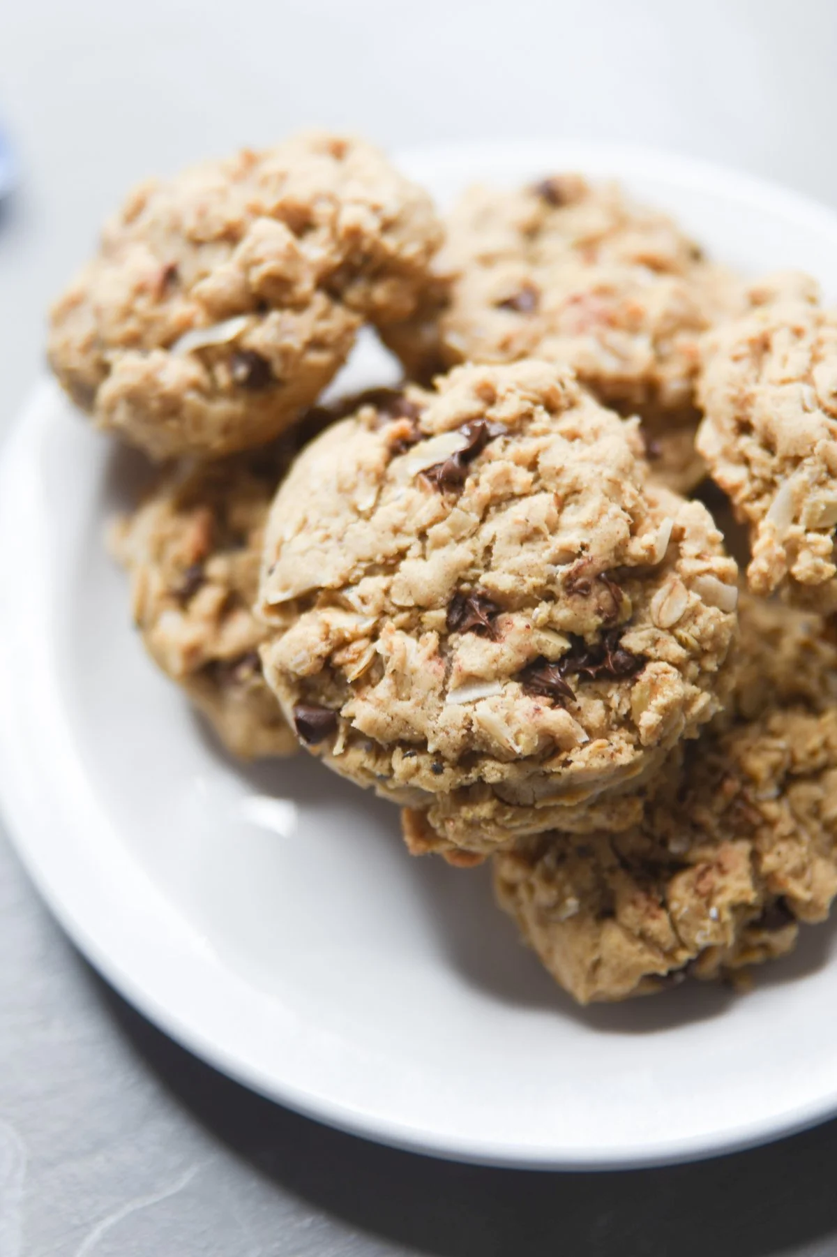 Tasty Lactation Cookie Recipe (Protein-Packed!)