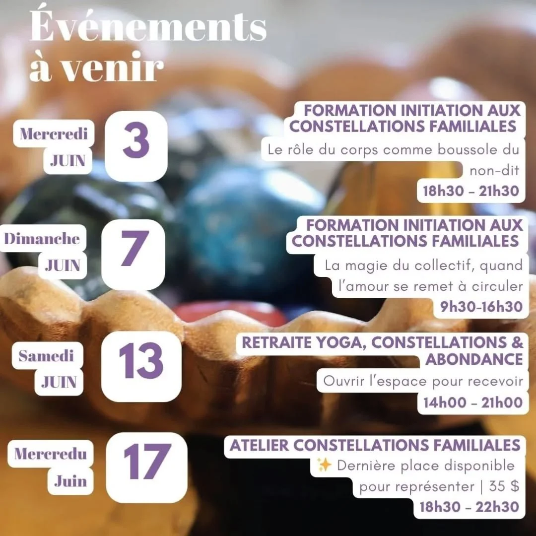 ✨ La programmation de juin est arriv&eacute;e.

Juin est souvent le mois o&ugrave; la lumi&egrave;re r&eacute;v&egrave;le ce qui &eacute;tait rest&eacute; dans l'ombre.

Ce qui demande &agrave; &ecirc;tre vu.
Ce qui cherche &agrave; se remettre en mo