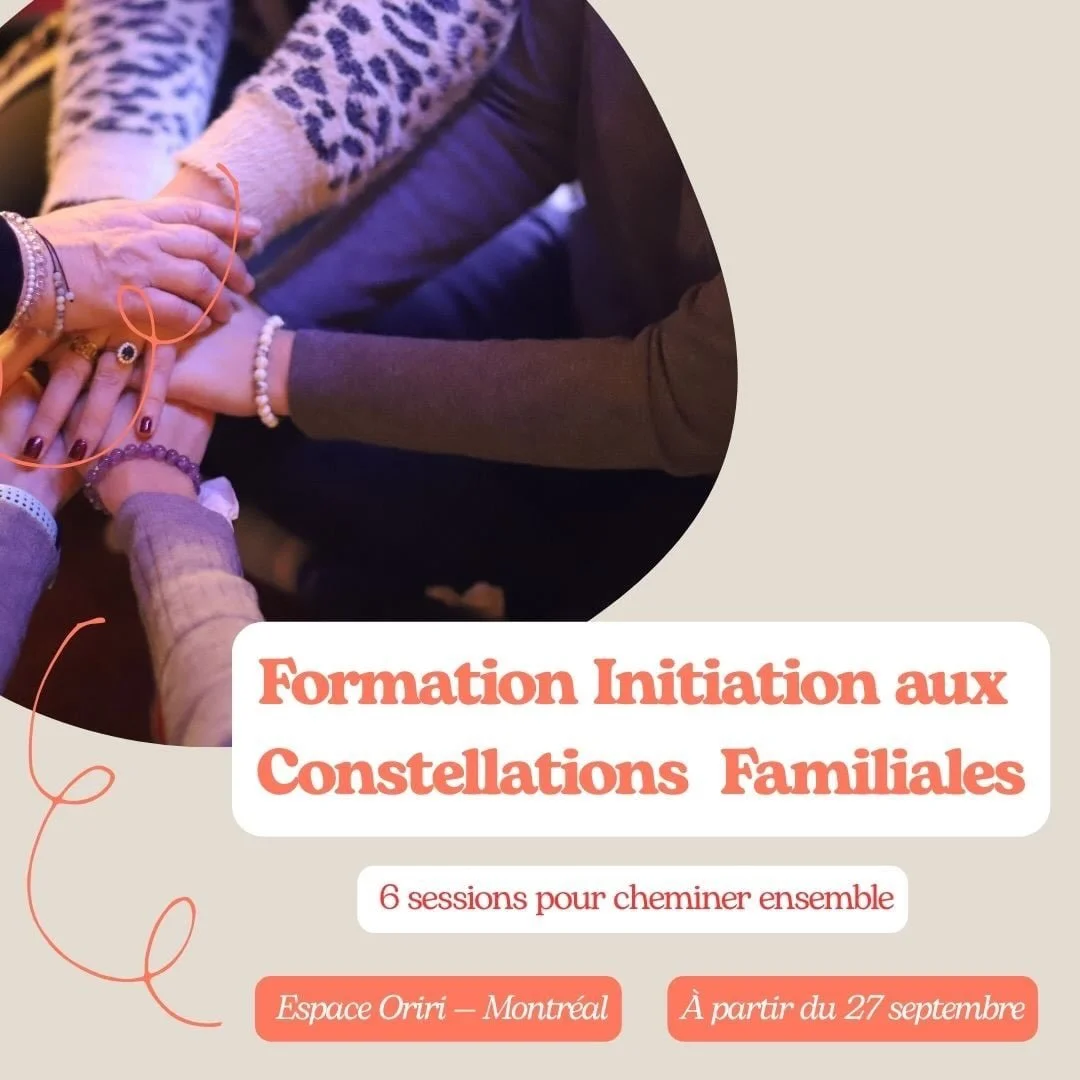 ✨ Et si apprendre les constellations familiales, c&rsquo;&eacute;tait apprendre &agrave; regarder autrement ?

Voir derri&egrave;re un blocage, une &eacute;motion, un sch&eacute;ma qui se r&eacute;p&egrave;te&hellip;
et &eacute;couter ce que le syst&