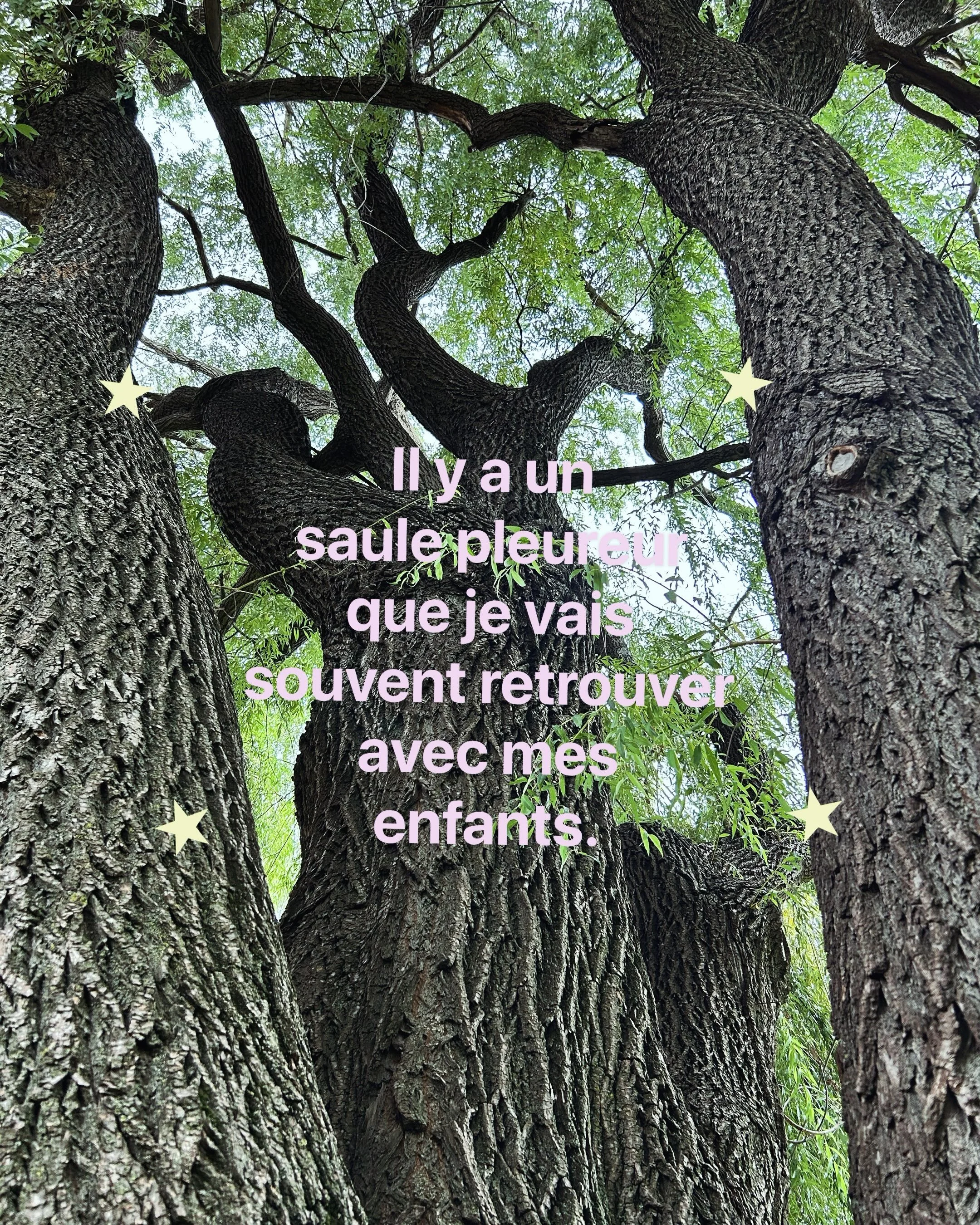 Petite, je posais mes mains sur les arbres, comme si mon corps savait d&eacute;j&agrave; o&ugrave; d&eacute;poser ce qu&rsquo;il portait. 

Aujourd&rsquo;hui, les constellations familiales m&rsquo;apprennent &agrave; regarder mes racines autrement : 