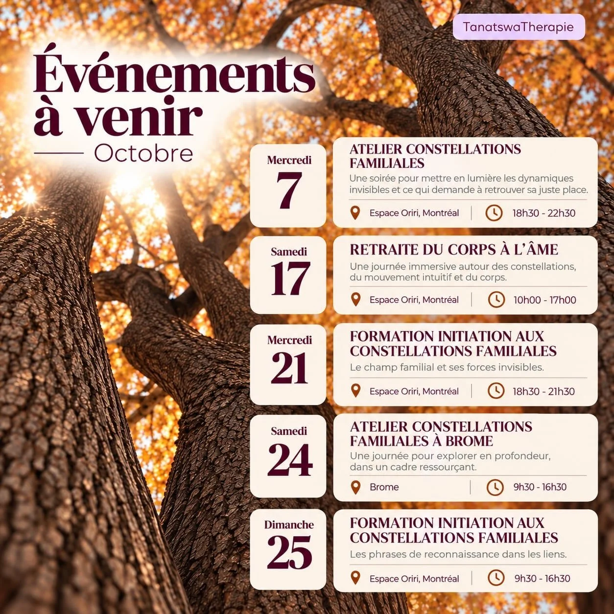 🍂 OCTOBRE CHEZ TANATSWA TH&Eacute;RAPIE

Octobre arrive avec ses changements de rythme, de lumi&egrave;re, de saison&hellip;

Et parfois, &ccedil;a vient aussi r&eacute;veiller quelque chose en nous :
une r&eacute;p&eacute;tition qui fatigue,
une re