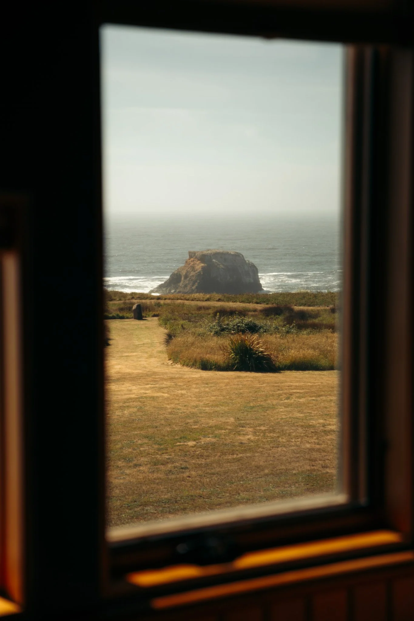 1R0A8257-Enhanced-NR.jpg