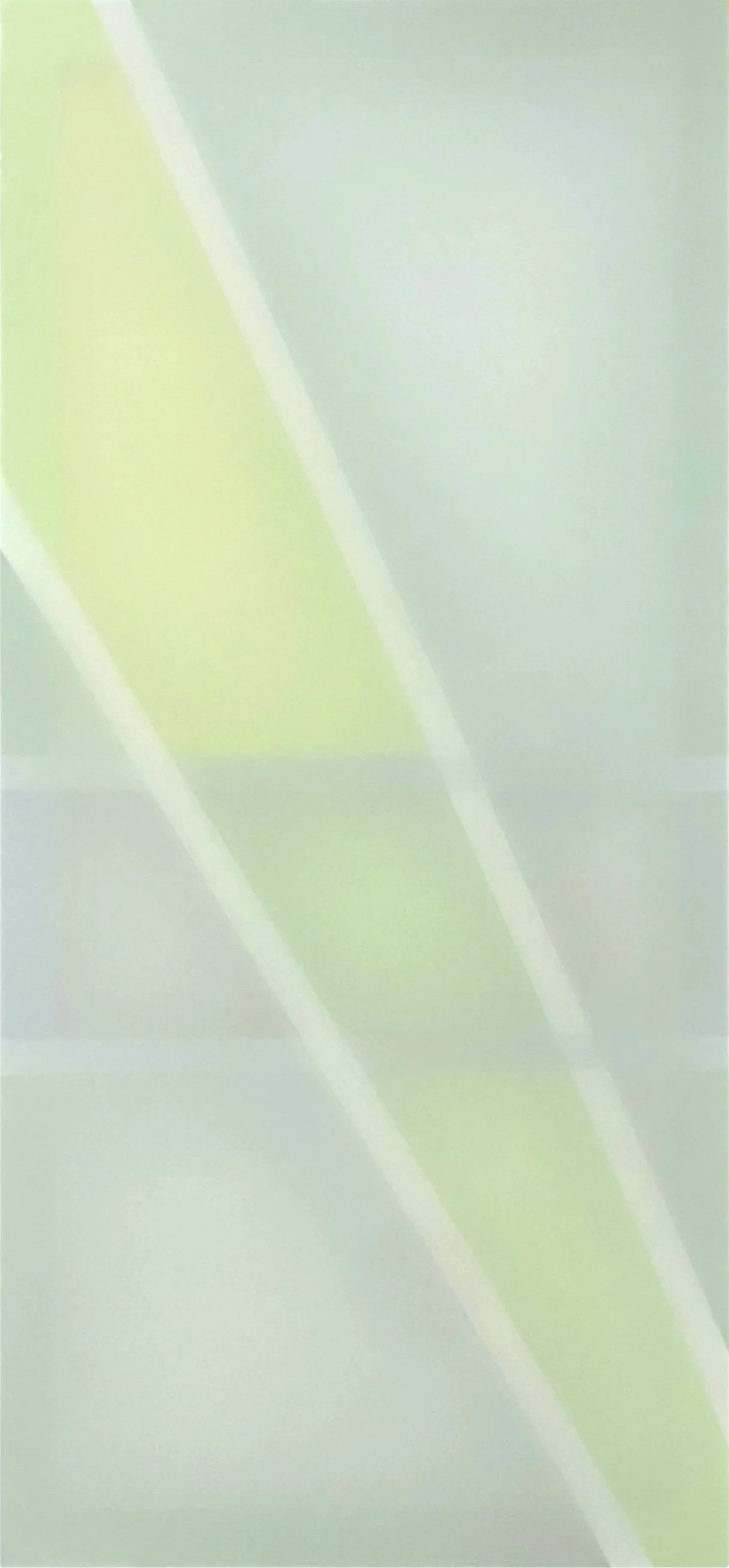 Introspection, by Polly Gilroy, 2025, silk on pine, 1780 x 820mm.jpg