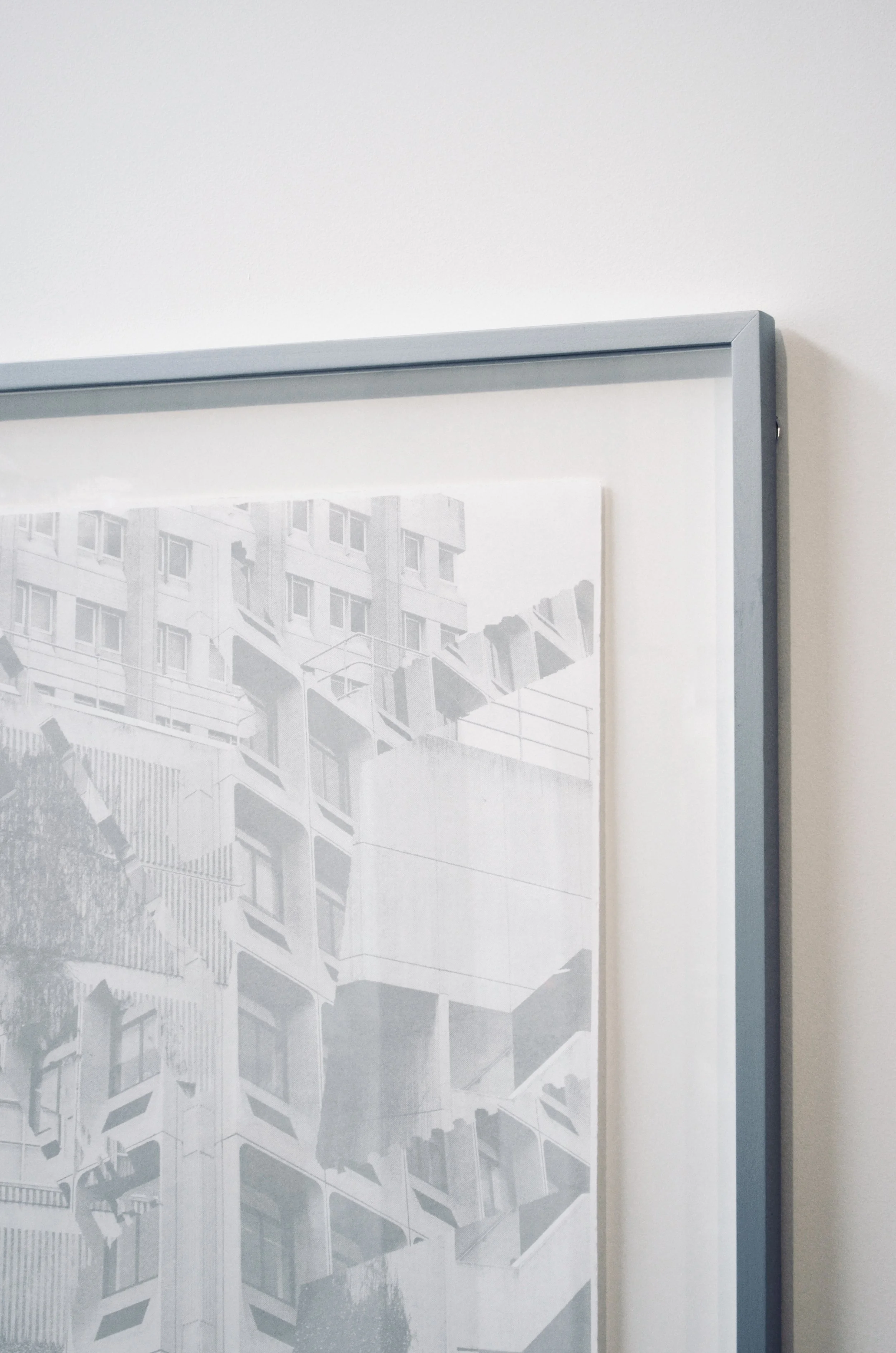 _DSC2369.jpeg