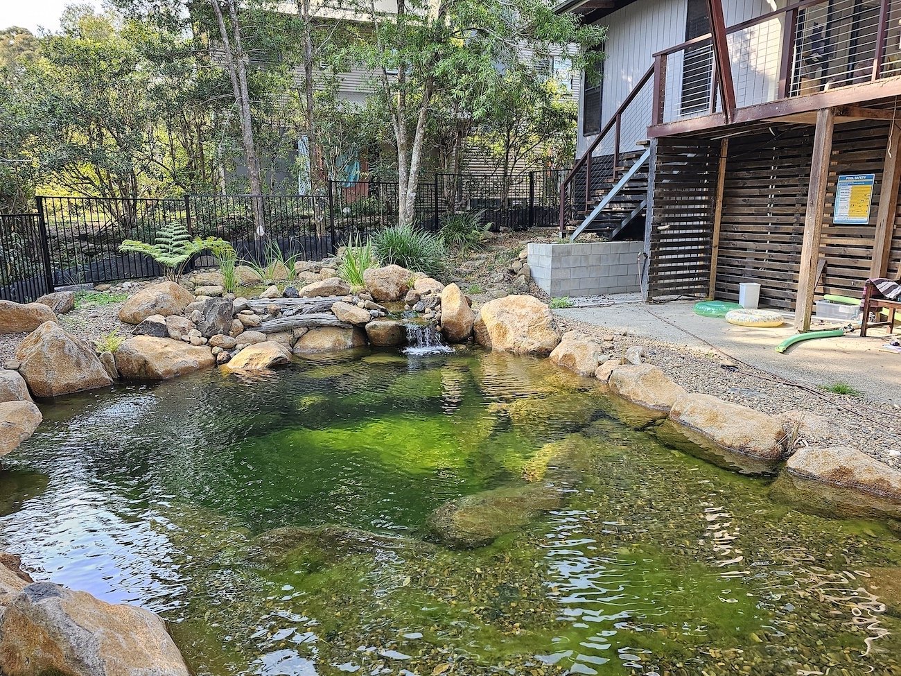 a flo garden natural swimming pool in the backyard of a fenced two story house