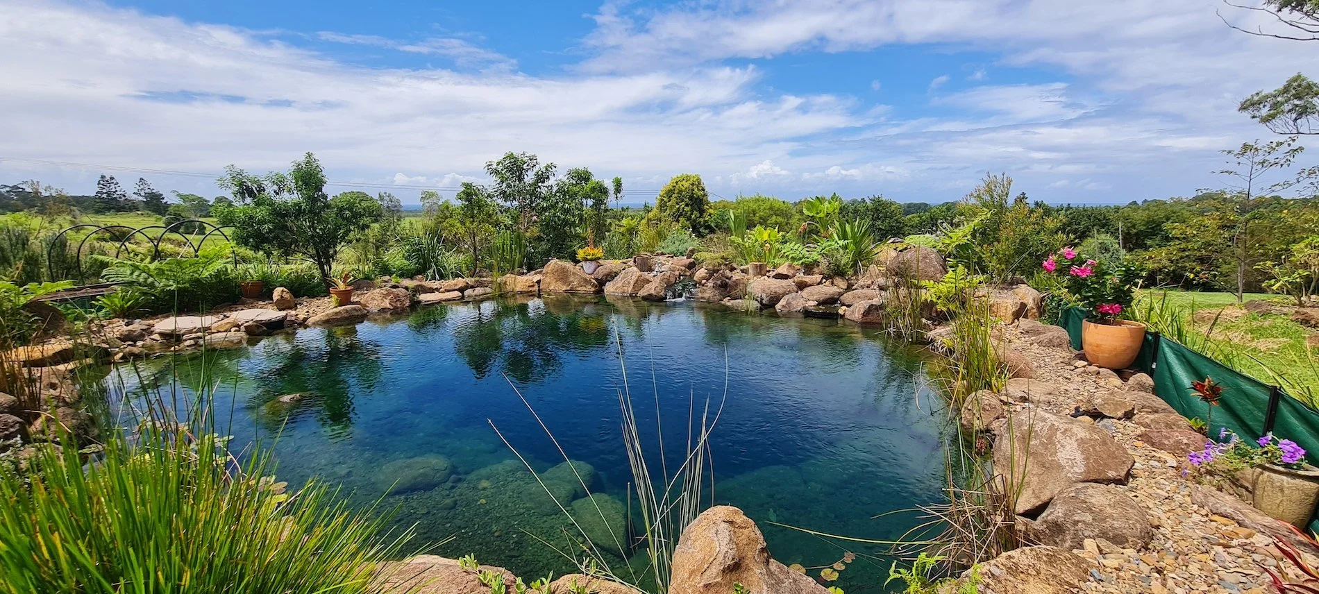 Medium Natural Pool with panoramic view.jpg