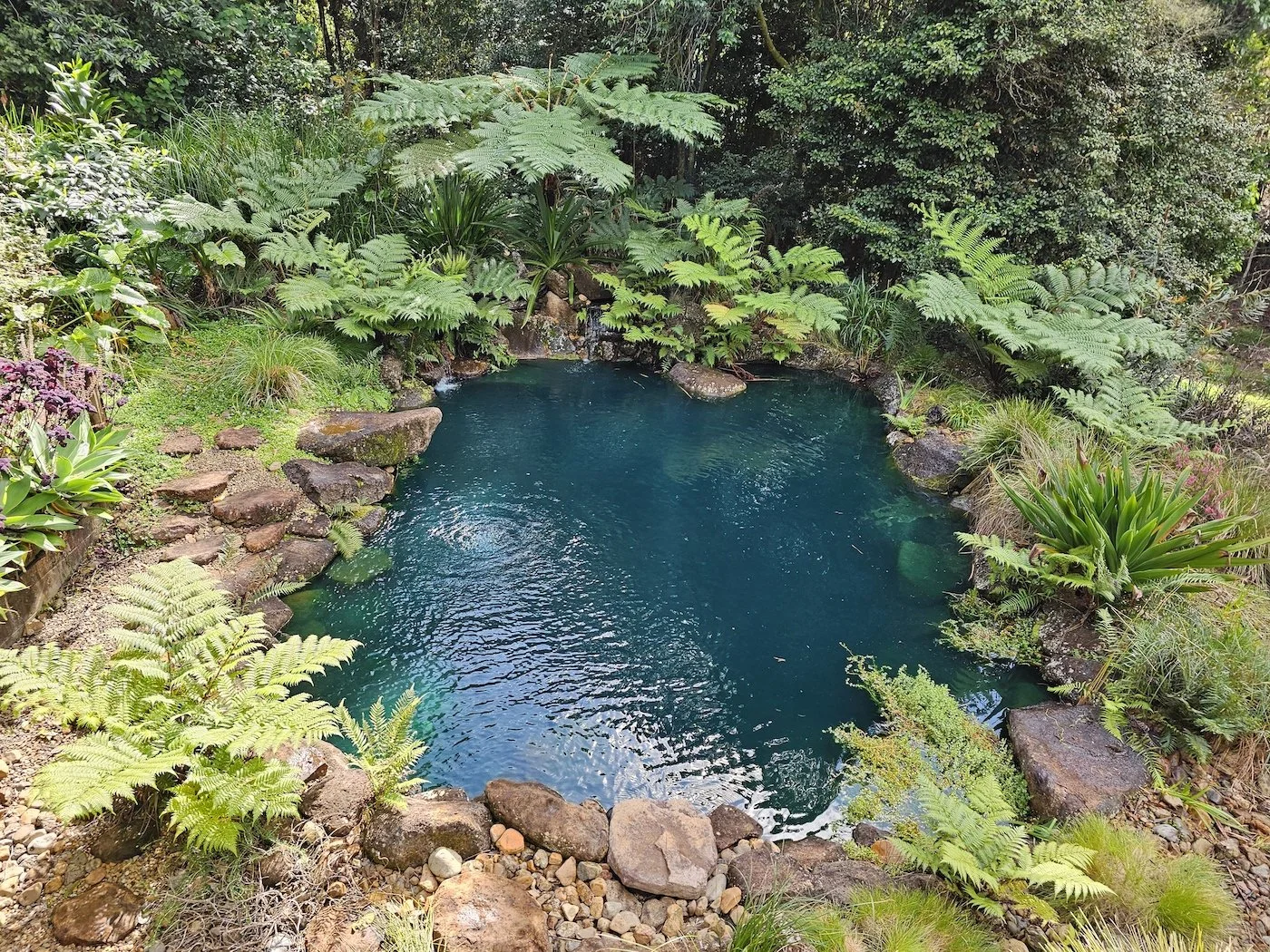 Natural Pool seen from above.jpg