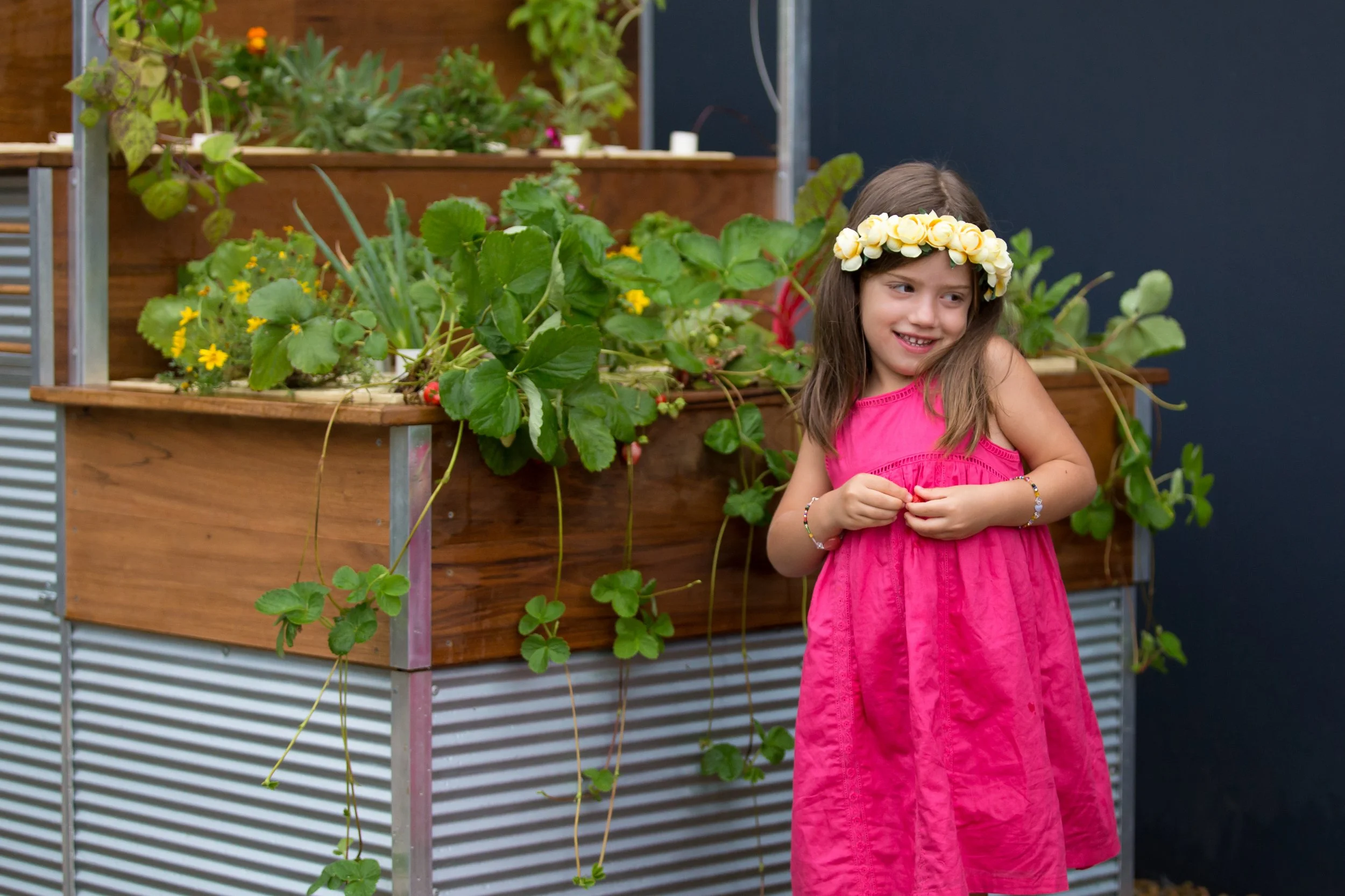 Understanding Aquaponics Workshop (individual)
