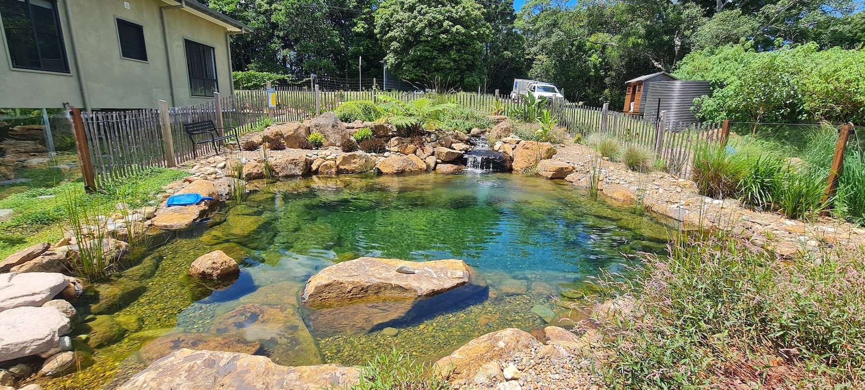 A flo garden natural swimming pool surrounded by rocks and vegetation in the backyard of a house