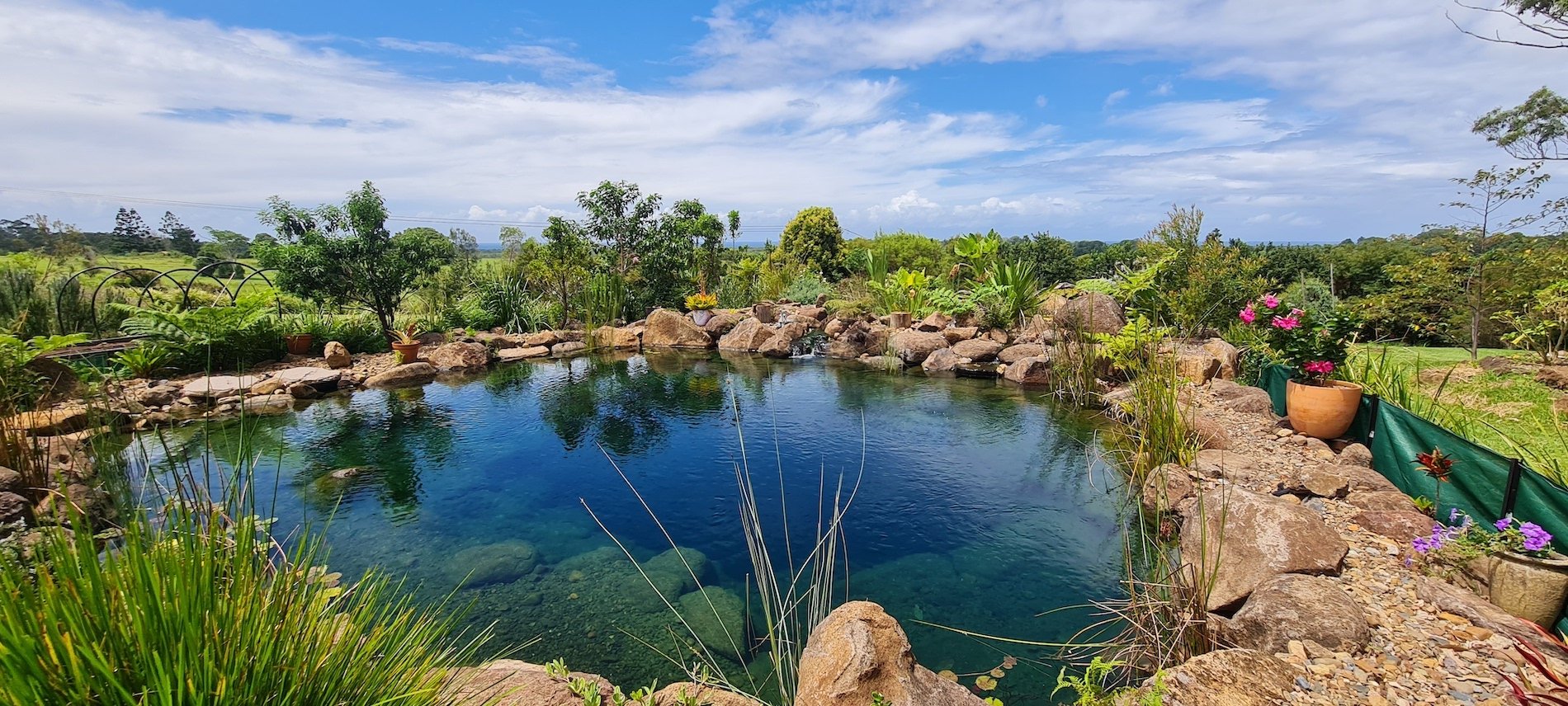 Panoramic view of a flo garden natural swimming pool with surrounding vegetation and rock and some aquatic plants inside of the pool