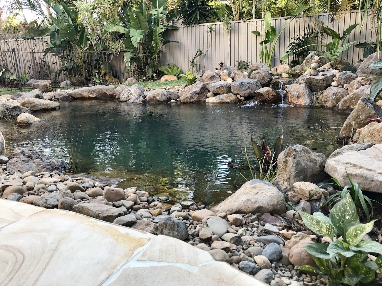 A flo garden natural swimming pool in the backyard of a house surrounded by a fence