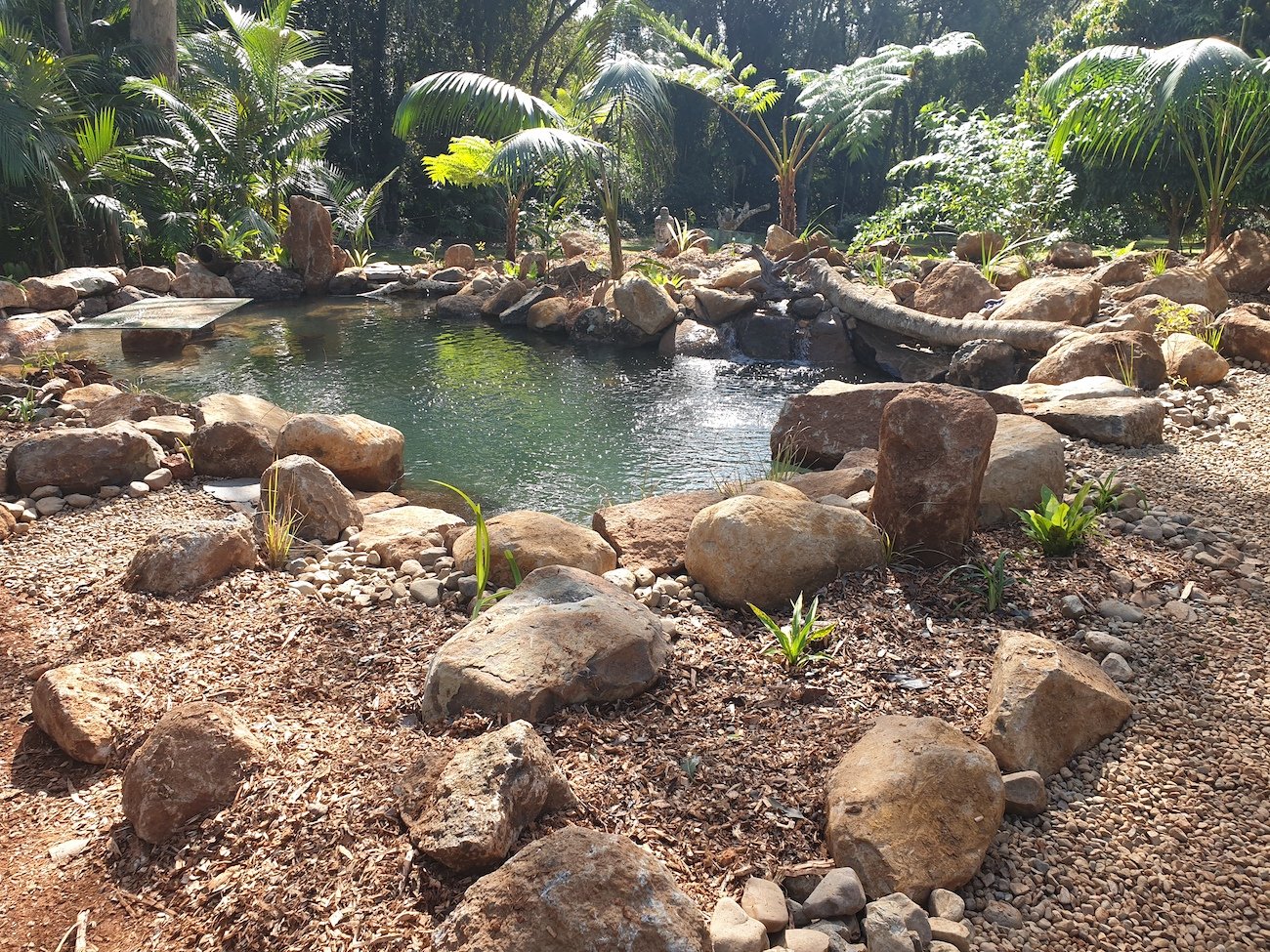 Small Natural Pond.jpg
