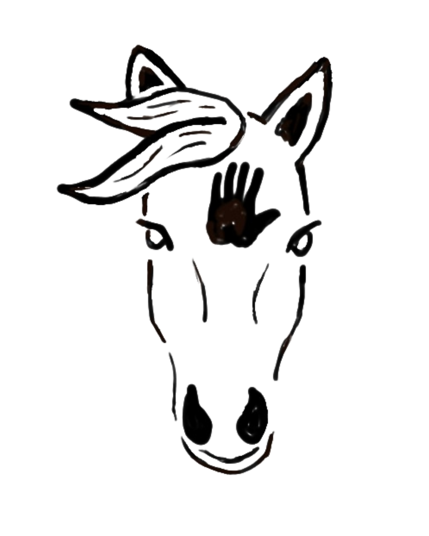 Steady Hand Horsemanship