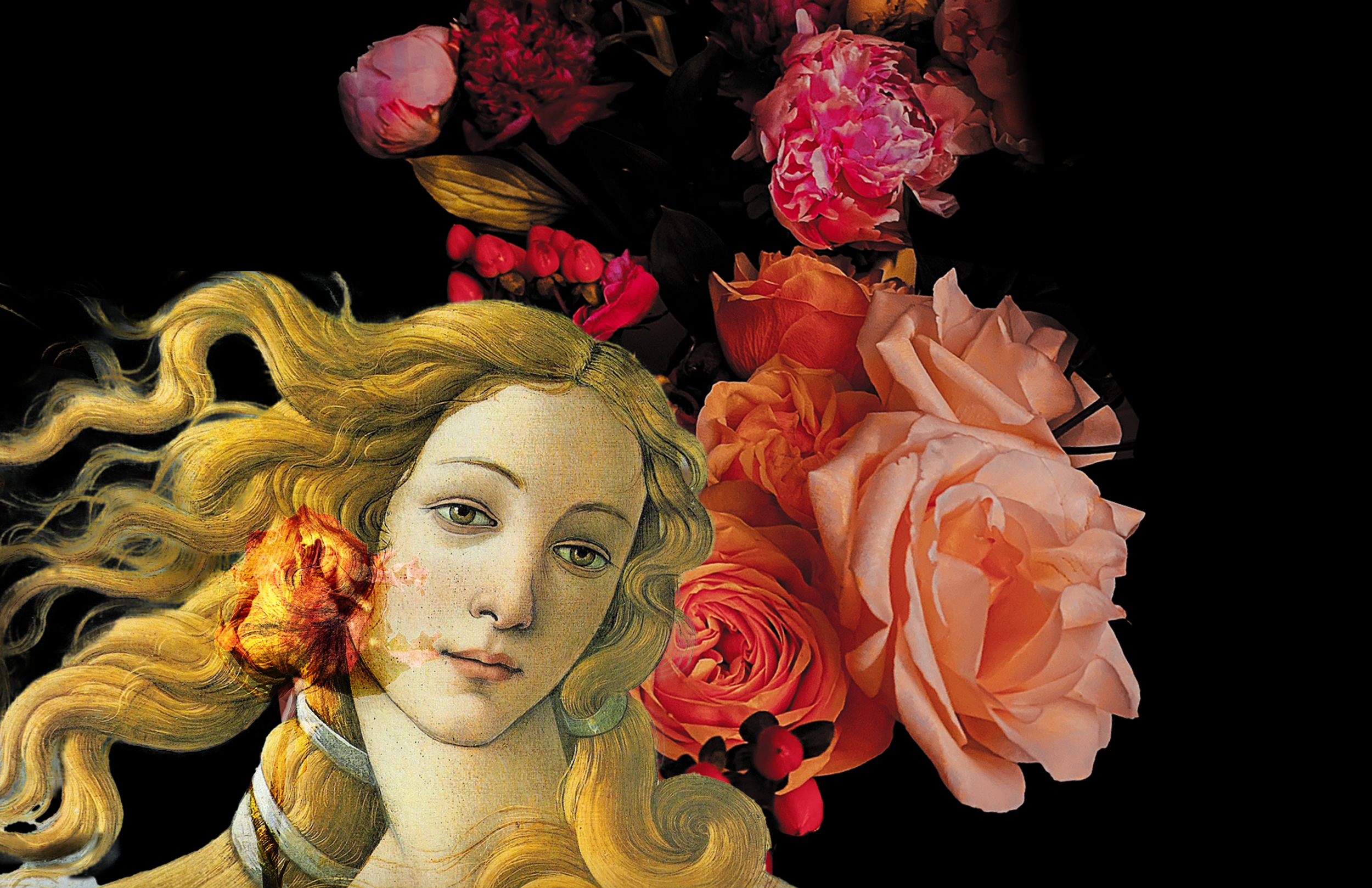 ANAPHRODITE COLLAGE1-2.png