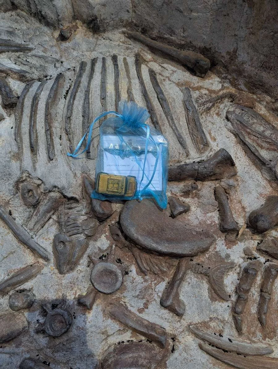 Found at a dinosaur playground in Livermore, CA!