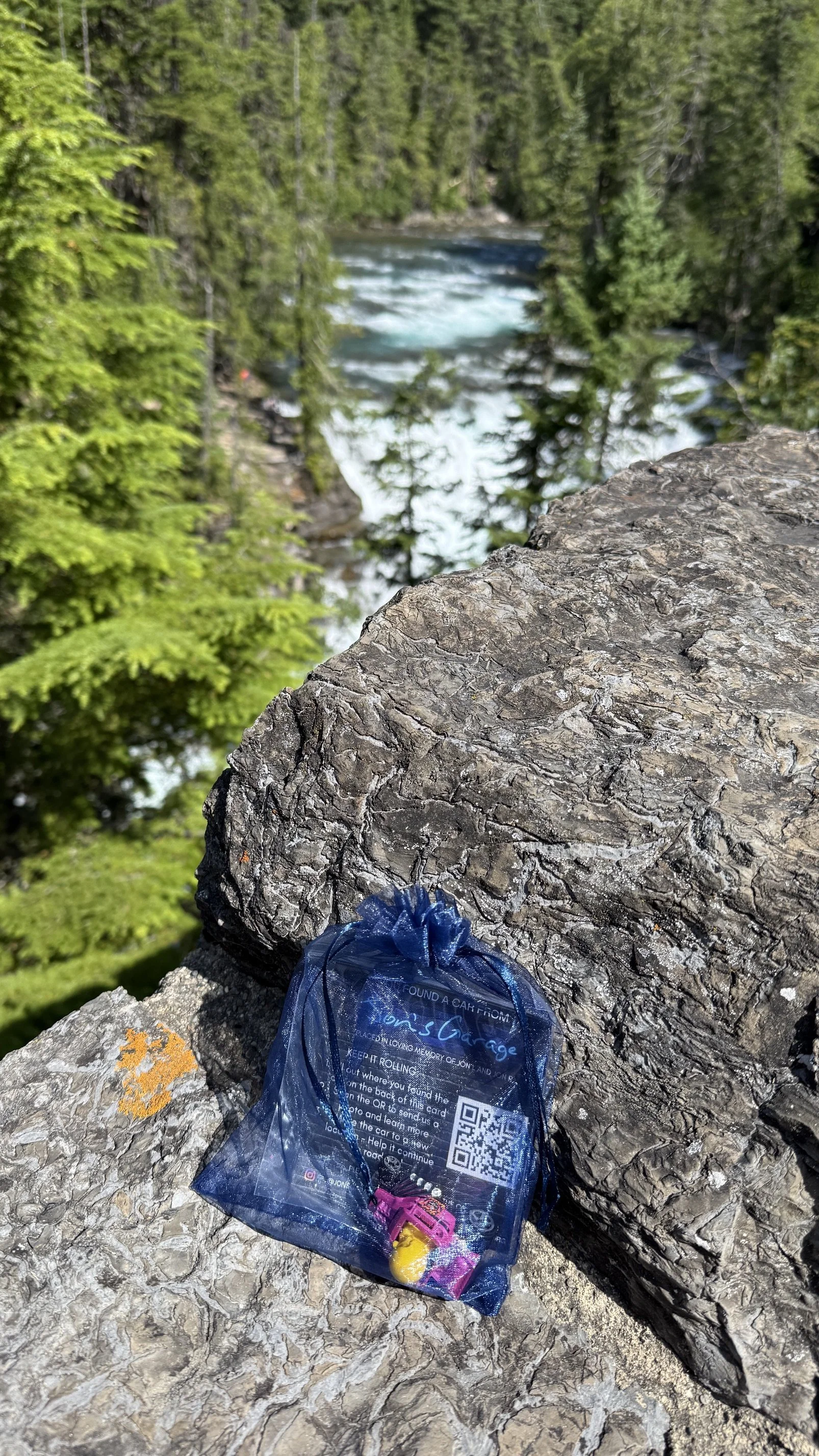 Found by Pat at McDonald Creek in Glacier National Park, Montana!
