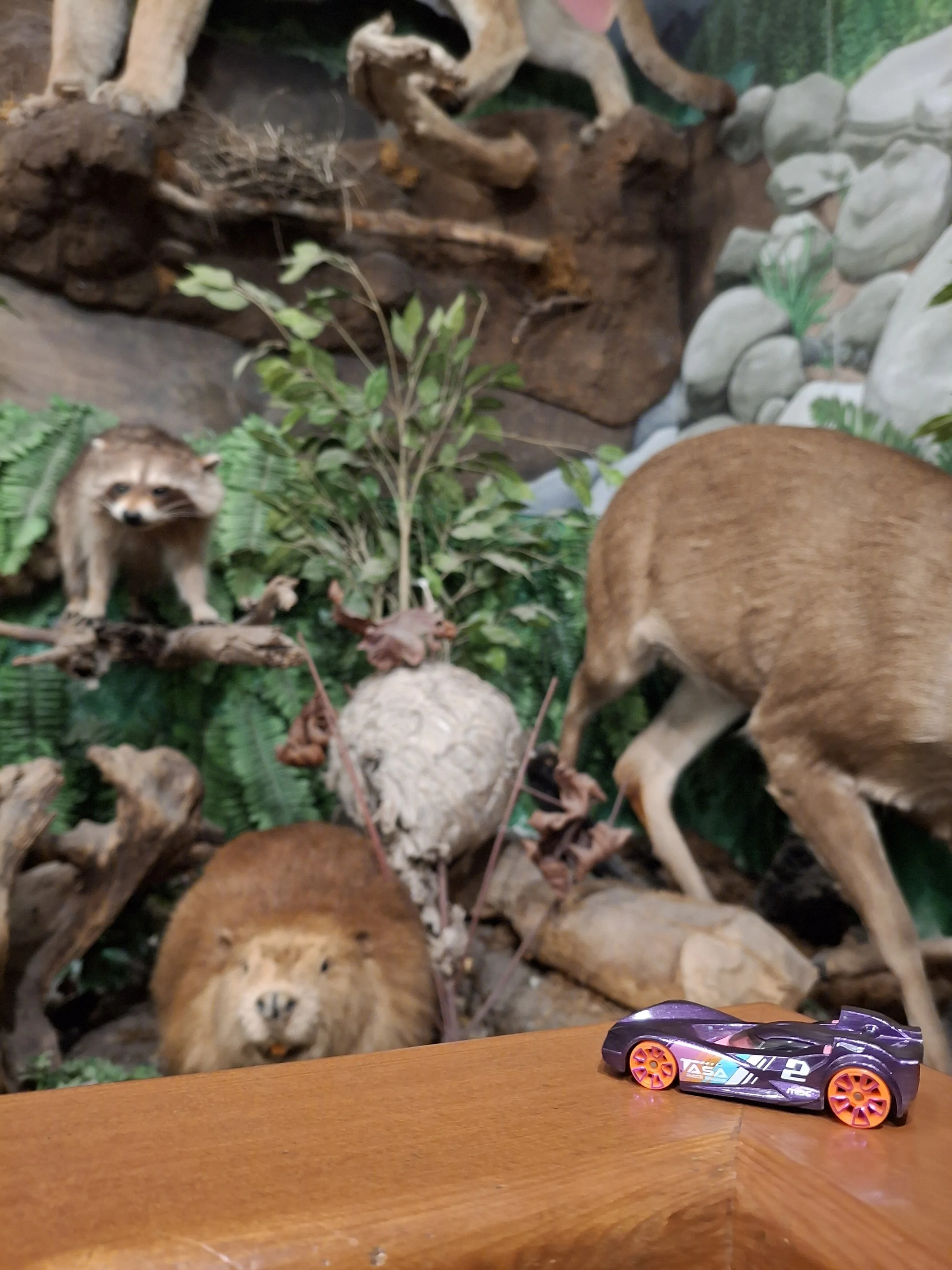 Found by Jazmine and Sosa at Jerry's Museum and Gift Shop in  Gold Beach, Oregan!