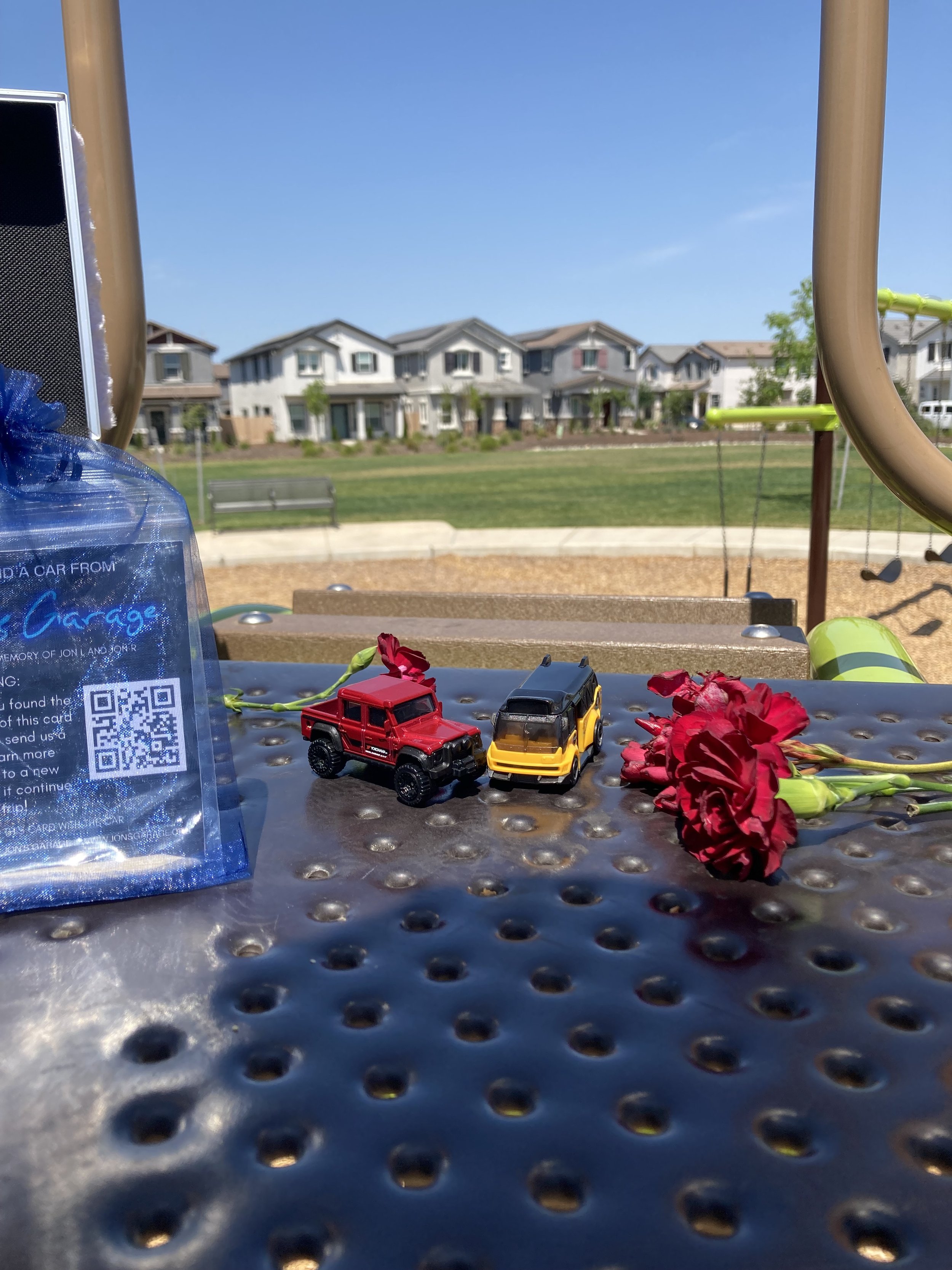 Found in Aura Park, Rancho Cordova, CA by the Gomes Family!