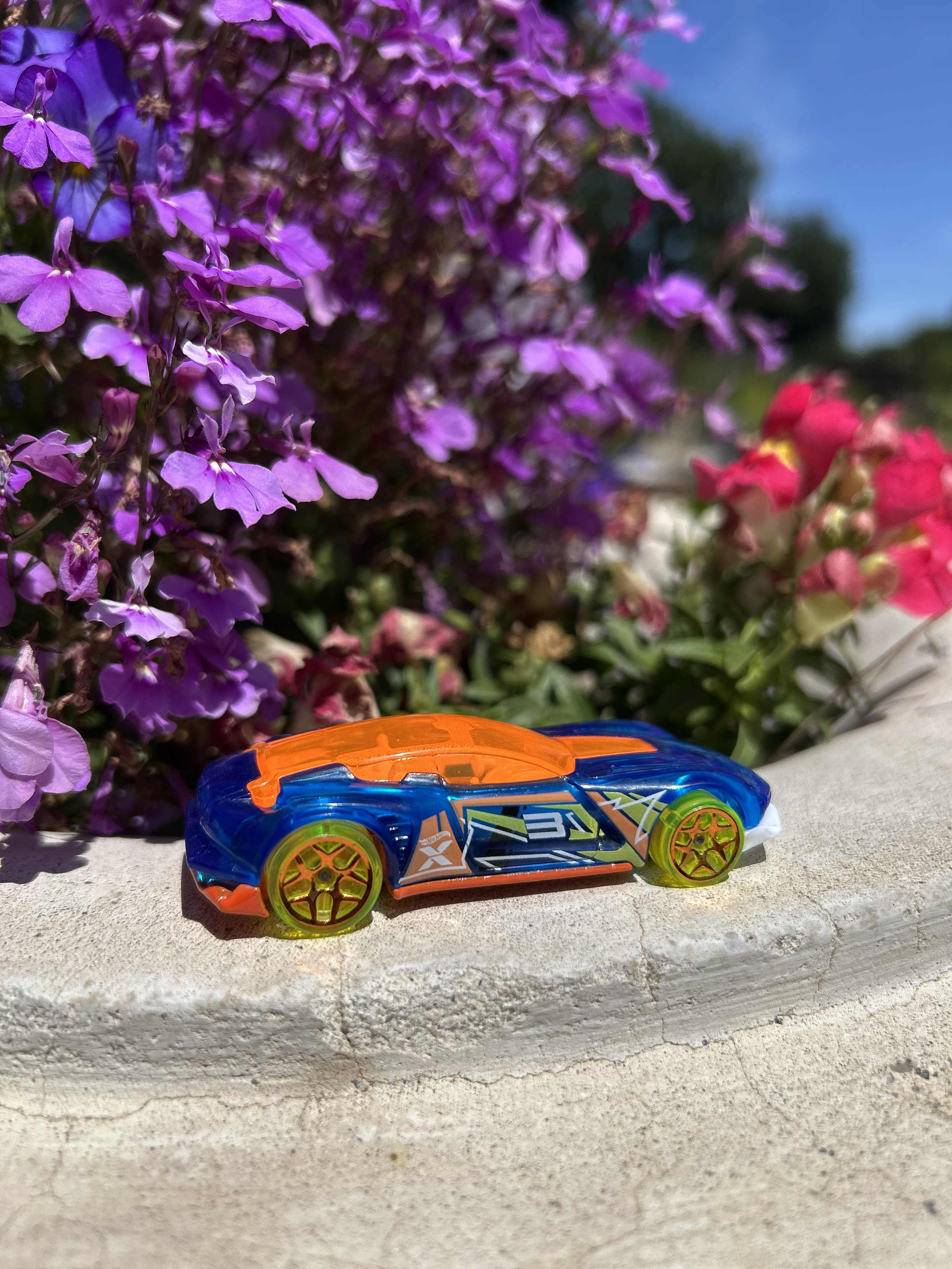 Found at Alden Lane Nursery, Livermore, CA by The Faulkner Family!
