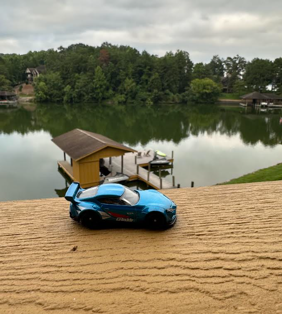 Found in Louisville, TN!