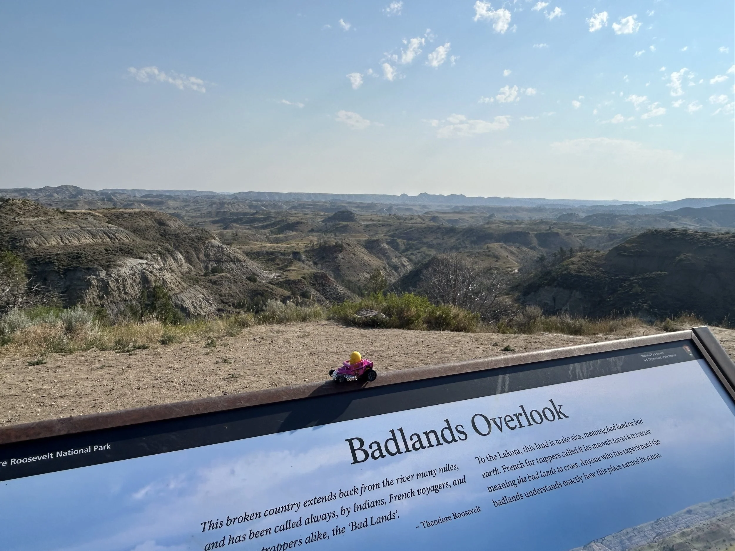 Found by Stacey J at Theodore Roosevelt National Park, North Dakota!