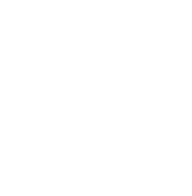 Blank white background with no objects or details.