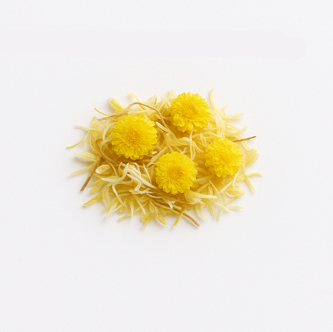 helichrysum