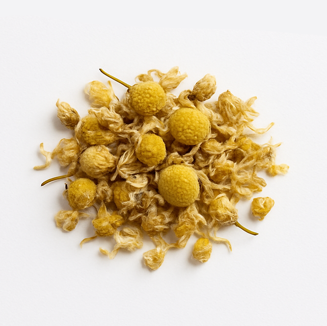 German Chamomile