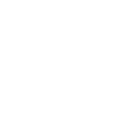 X-ray of a knee joint showing bones, cartilage, and surrounding tissue.
