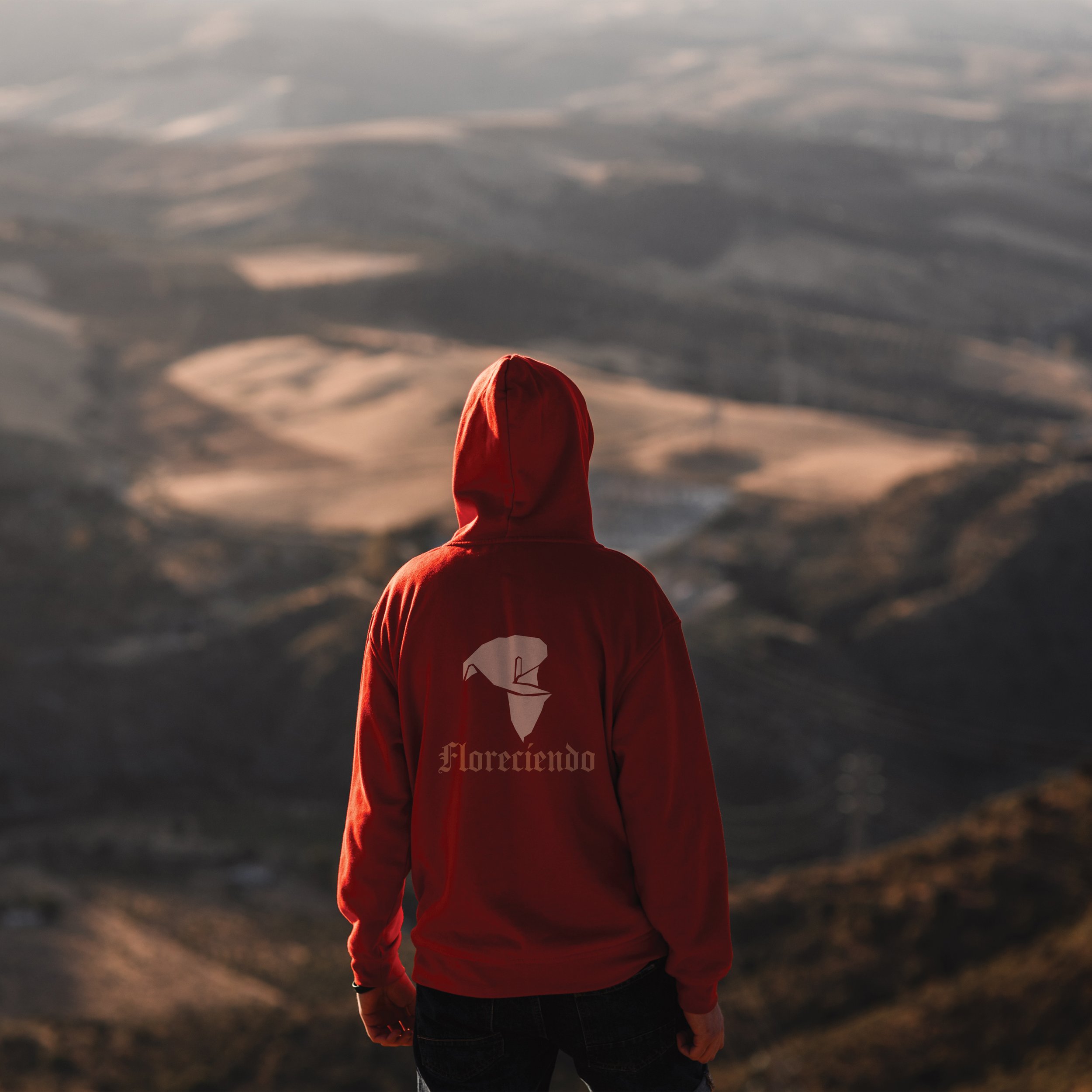 displacement_final_hola_hoodie.jpg