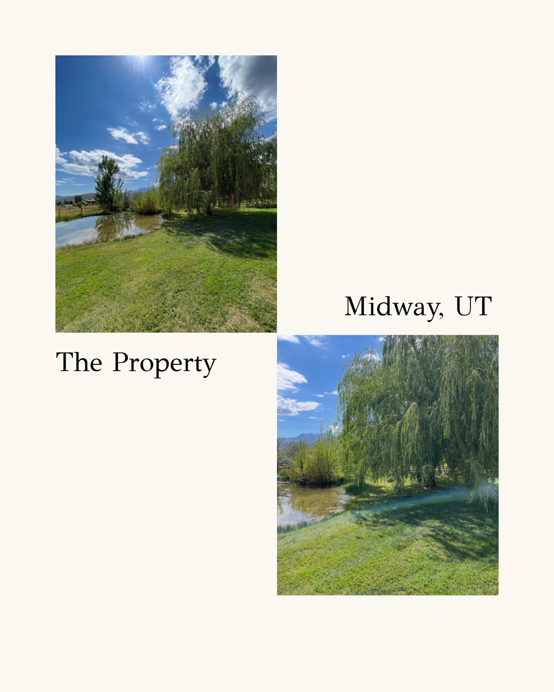 image6.png