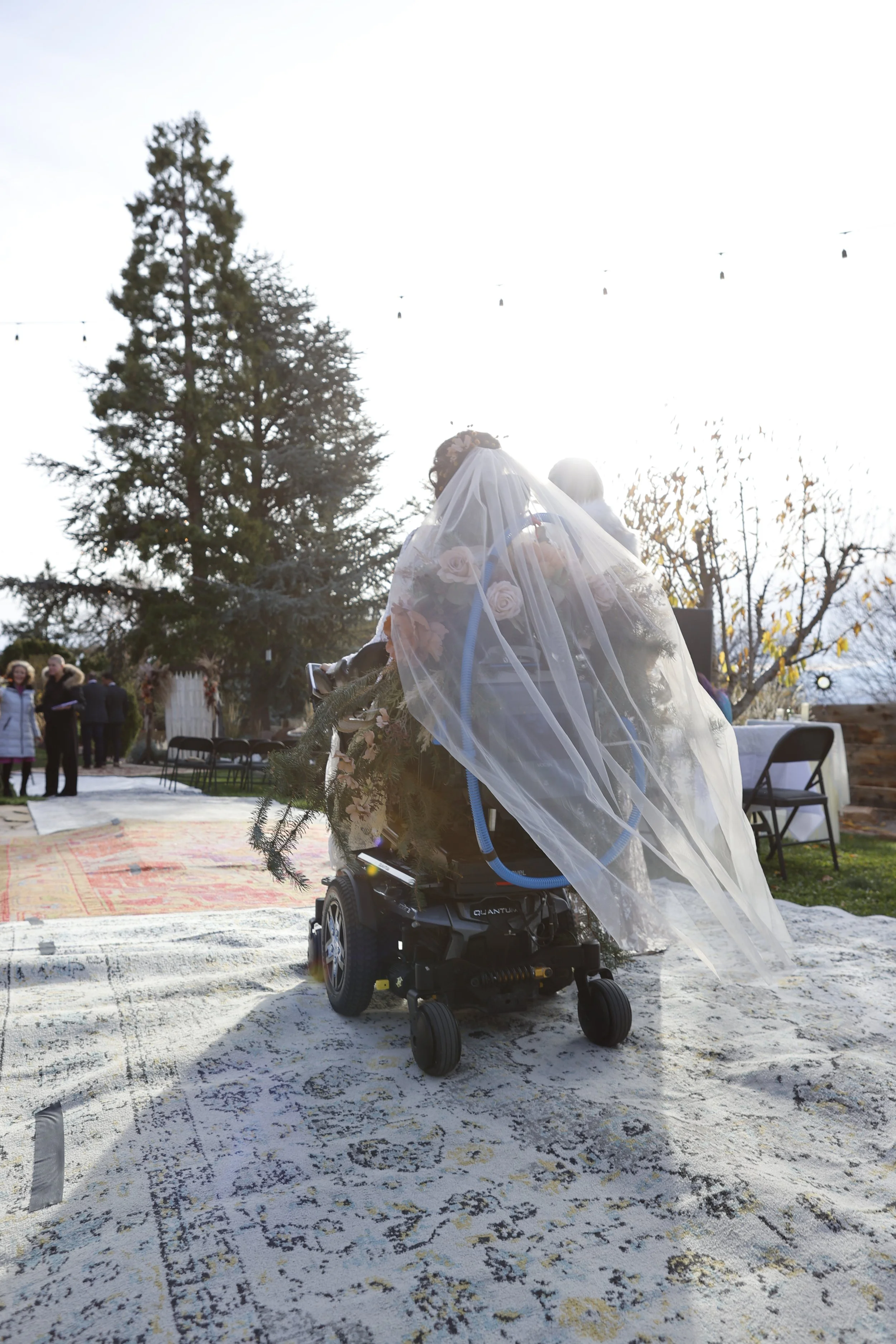 Photo Nov 29 2025, 3 50 04 PM.jpg