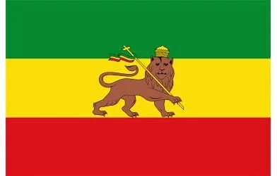 The flag of Ethiopia with green, yellow, and red horizontal stripes and a lion holding a spear and a cross.