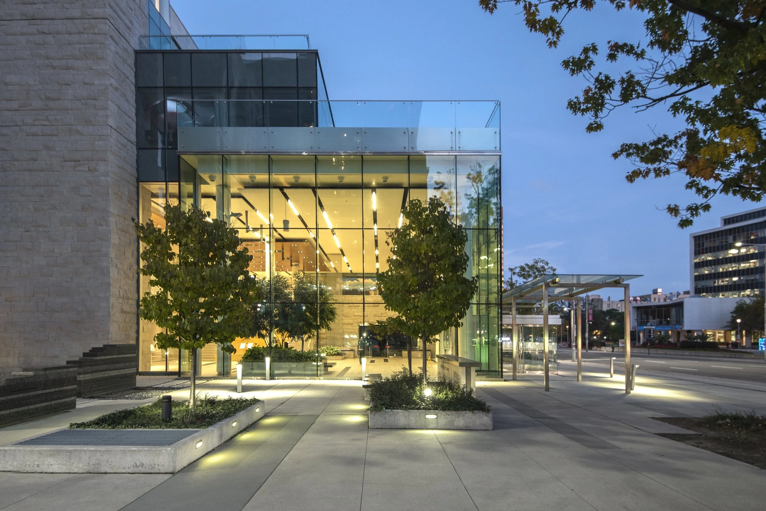 Modern glass-front building with trees and sidewalk, illuminated interior, early evening sky.