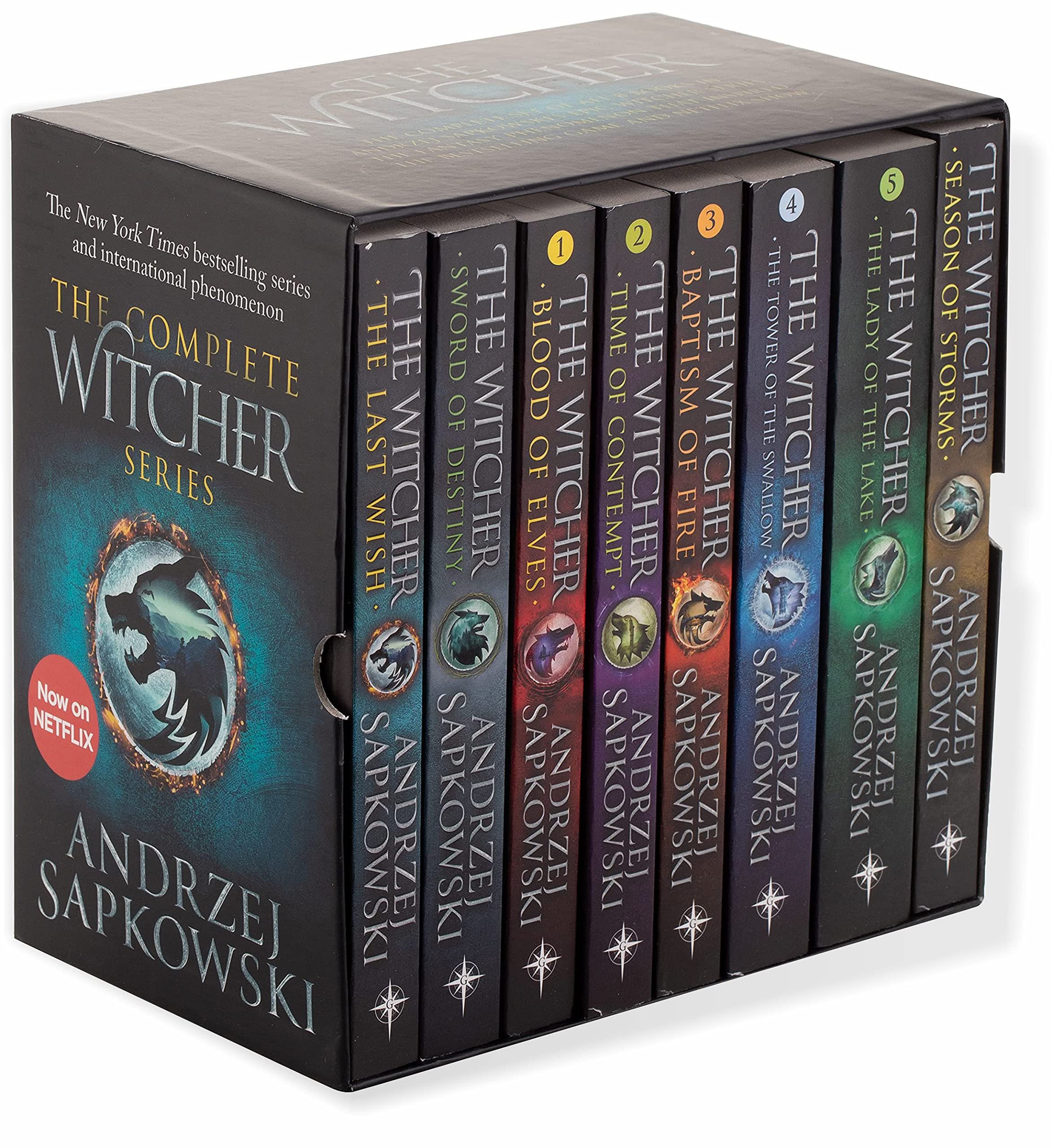 Review: The Witcher Series by Andrzej Sapkowski