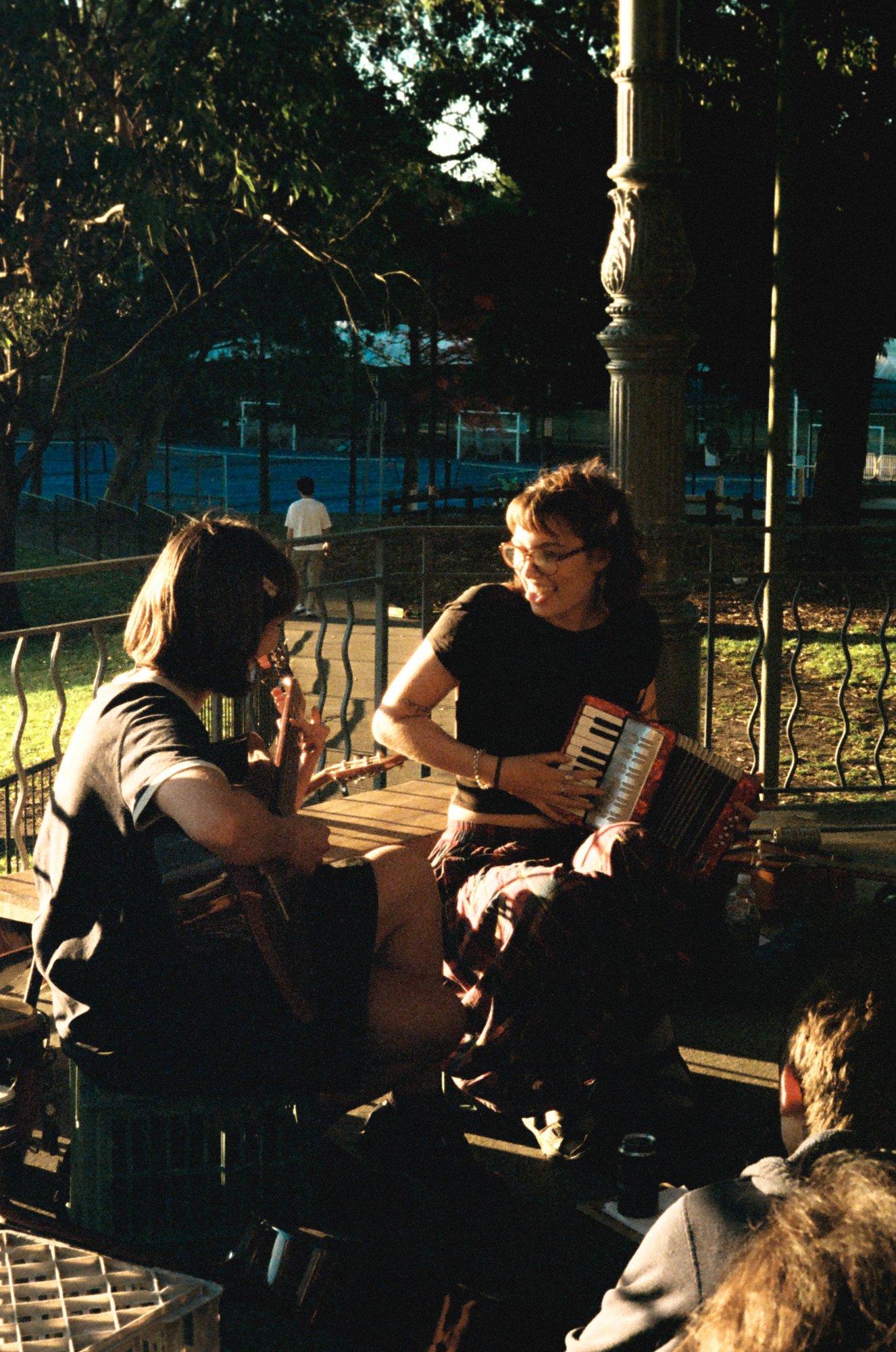 Sevilles, Camperdown Park, 2025