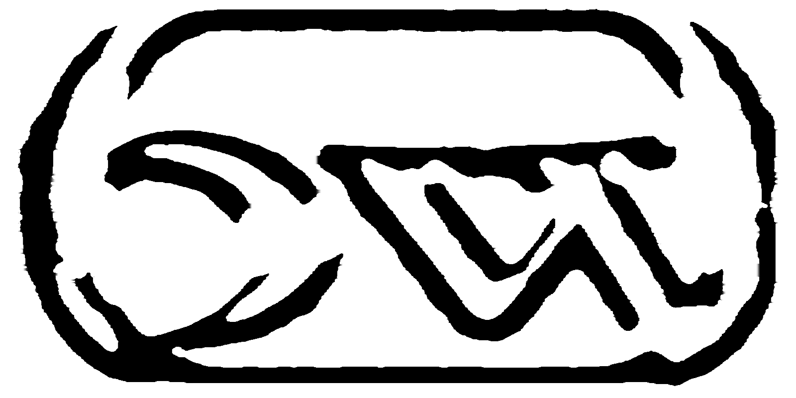 BW PILL EMBROIDERY .png