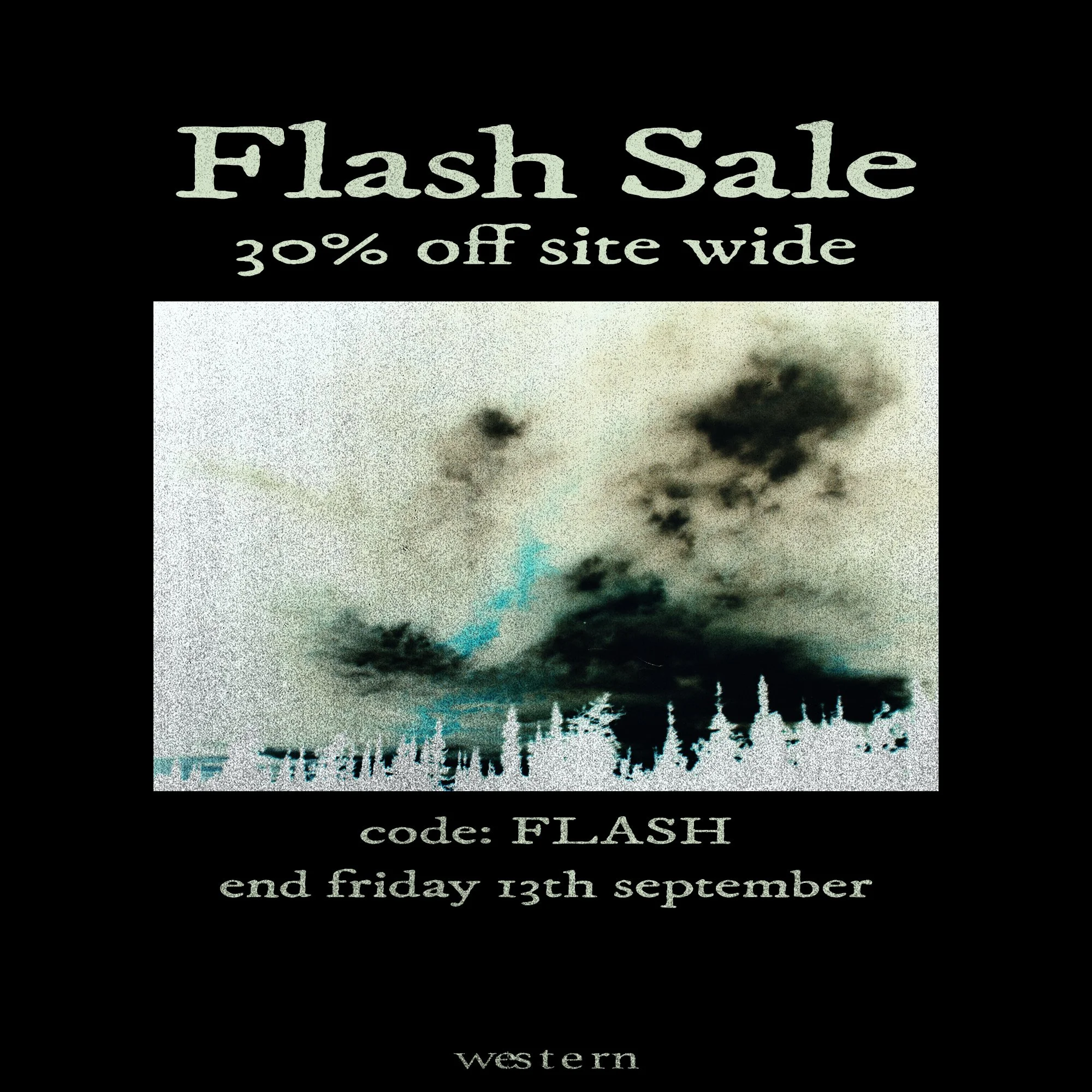 flash sale copy.jpg