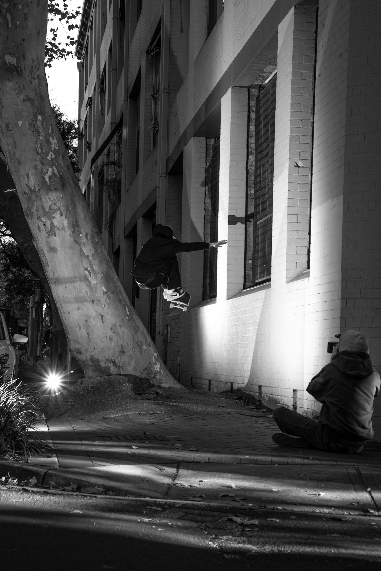 Dylan Donnini, Wallie Wallride