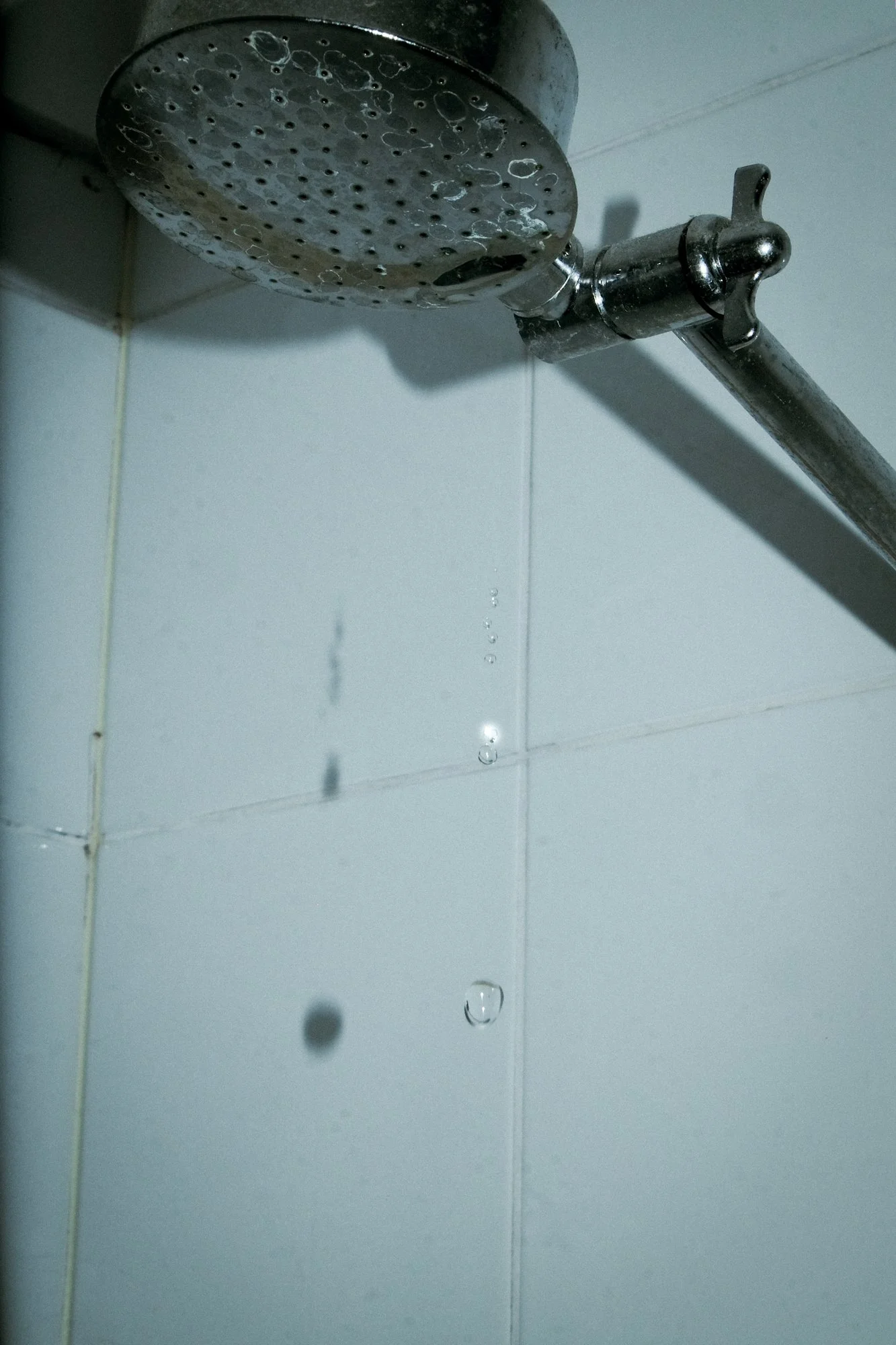 DSCF6227.jpg