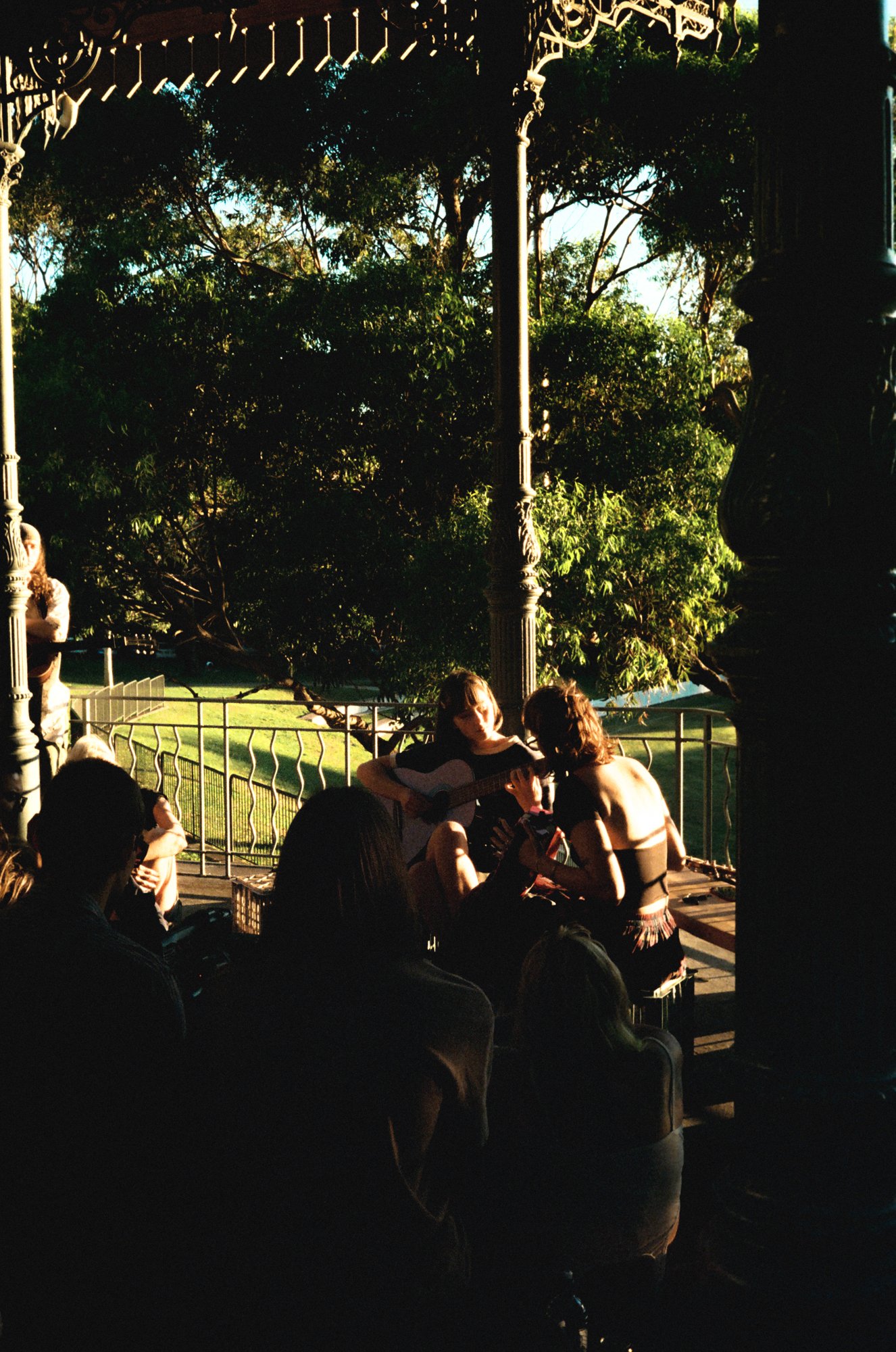 Sevilles, Camperdown Park, 2025