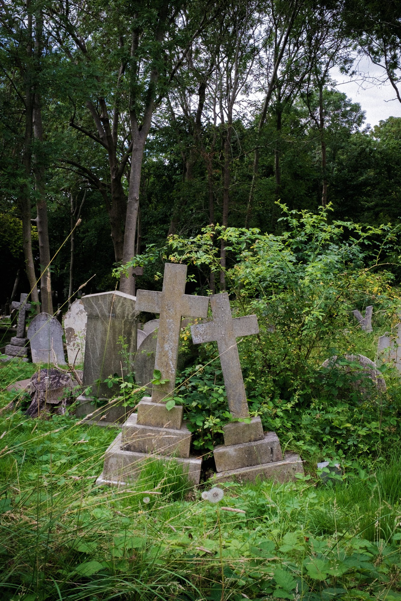 DSCF7696.jpg
