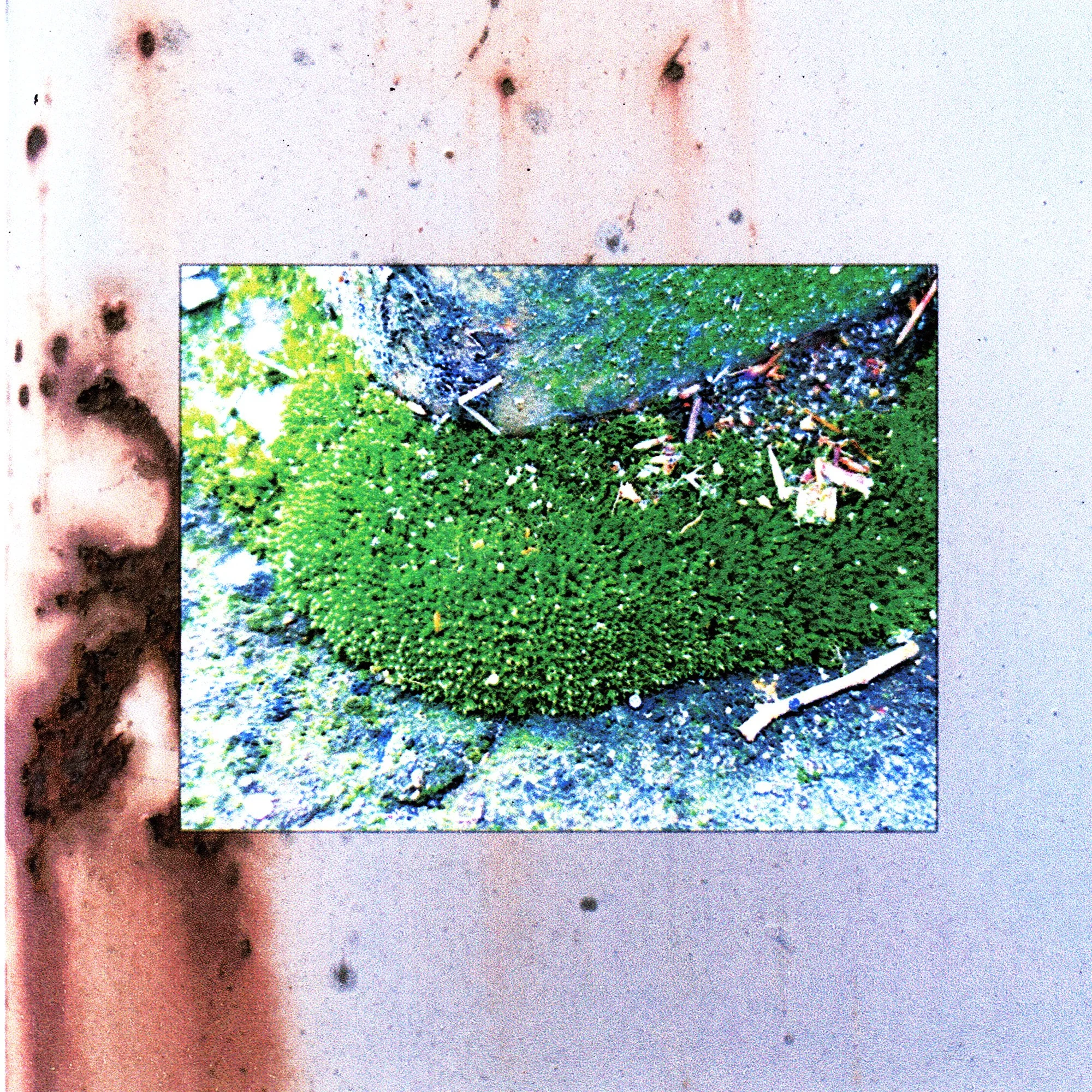 nogods9ermoss_0002_Layer 3.jpg