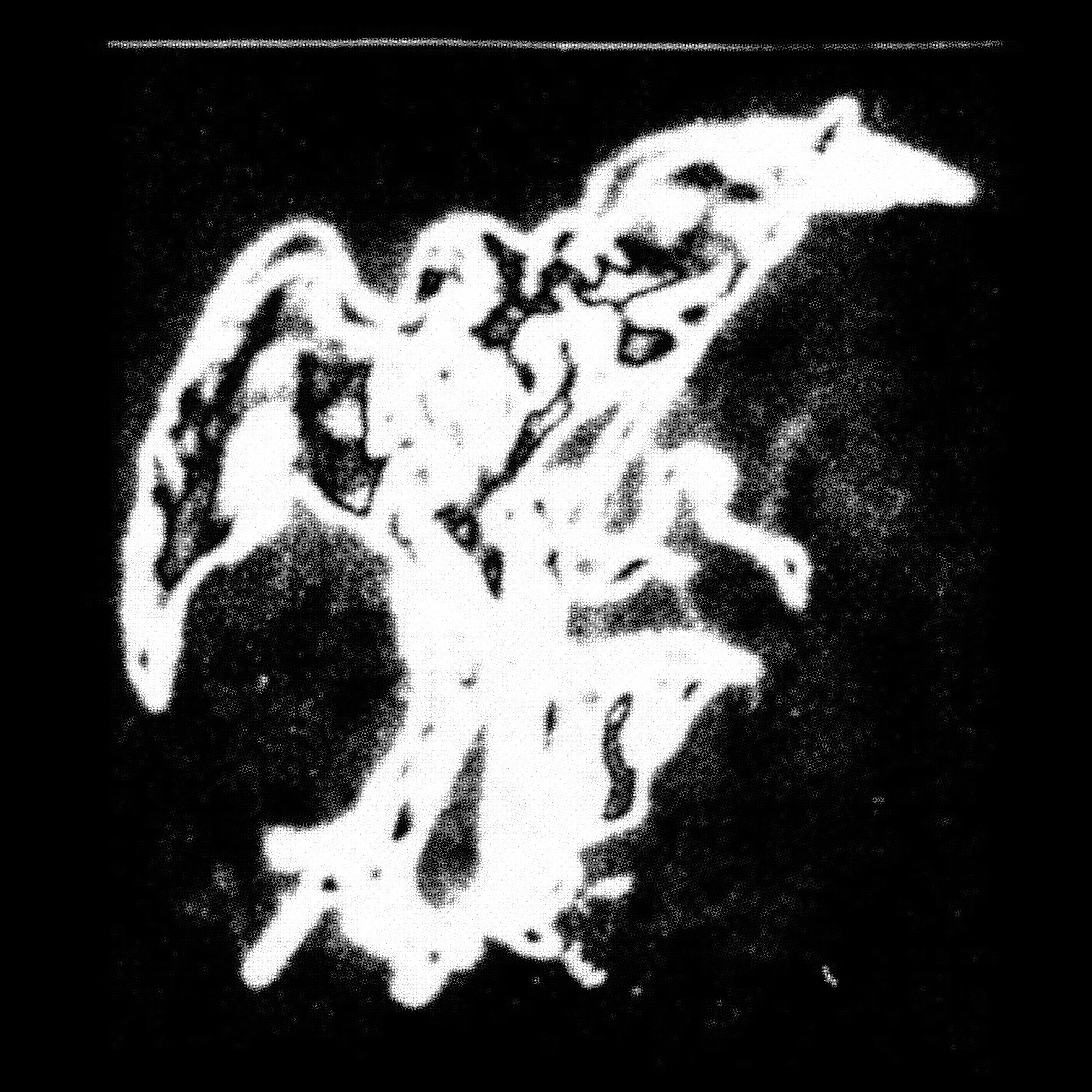 SCANNER POST (1) copy.jpg