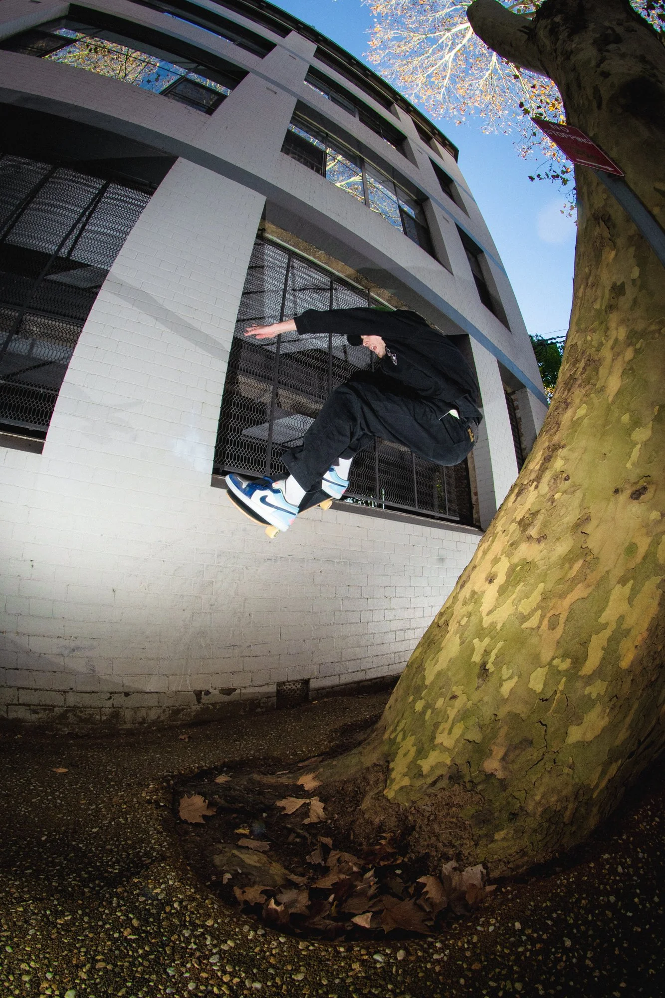 Dylan Donnini, Wallie Wallride
